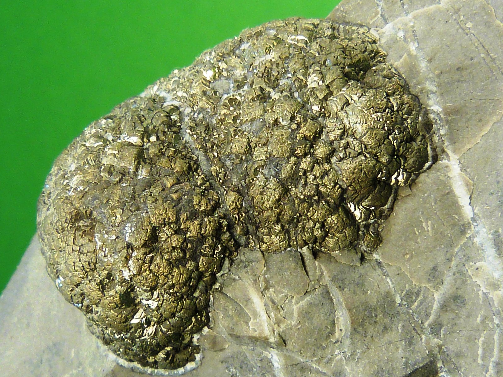 Pirita
8 x 8 x 6 cm.
(Autor: Felipe Abolafia)