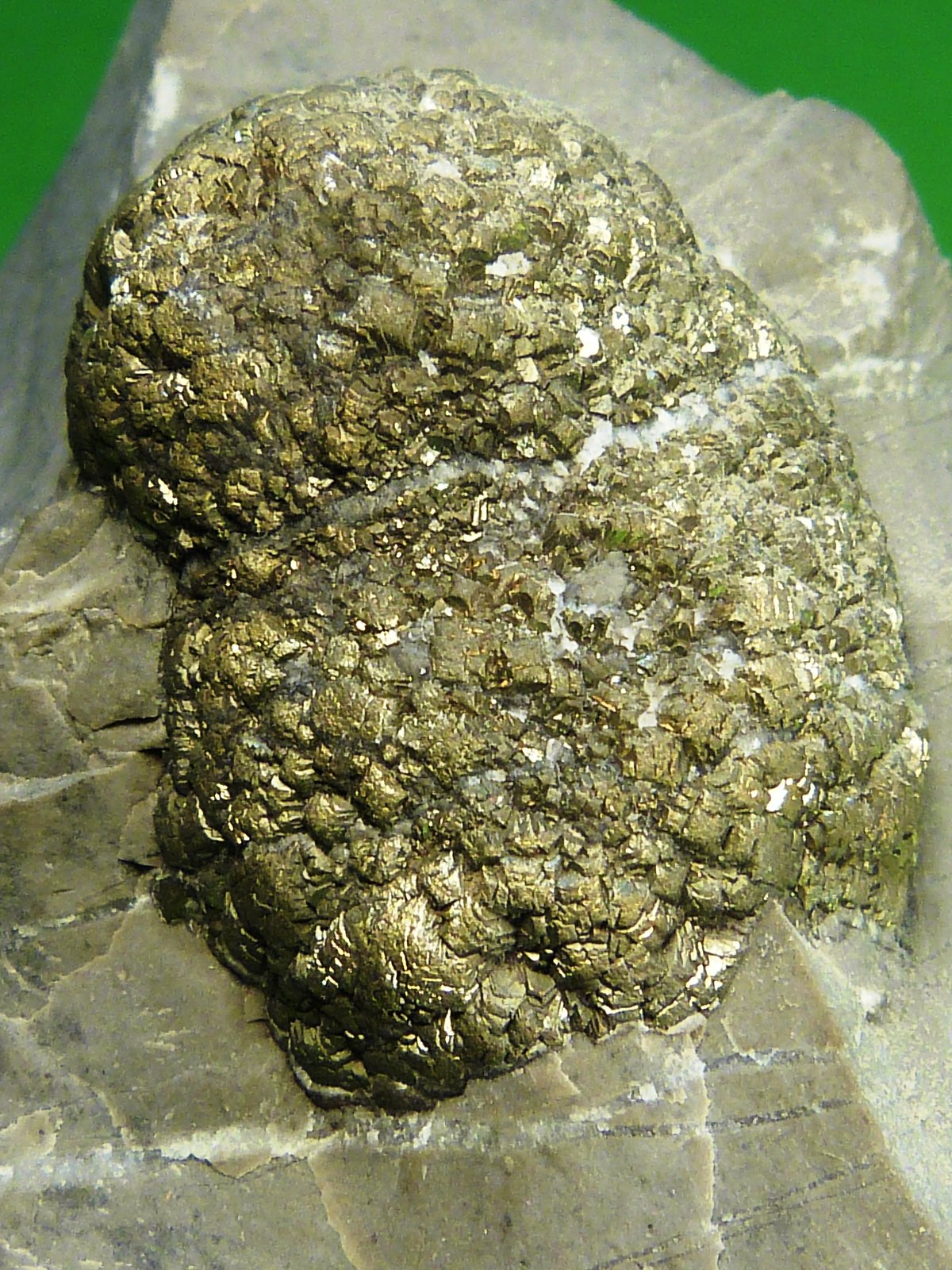 Pirita
8 x 8 x 6 cm.
(Autor: Felipe Abolafia)