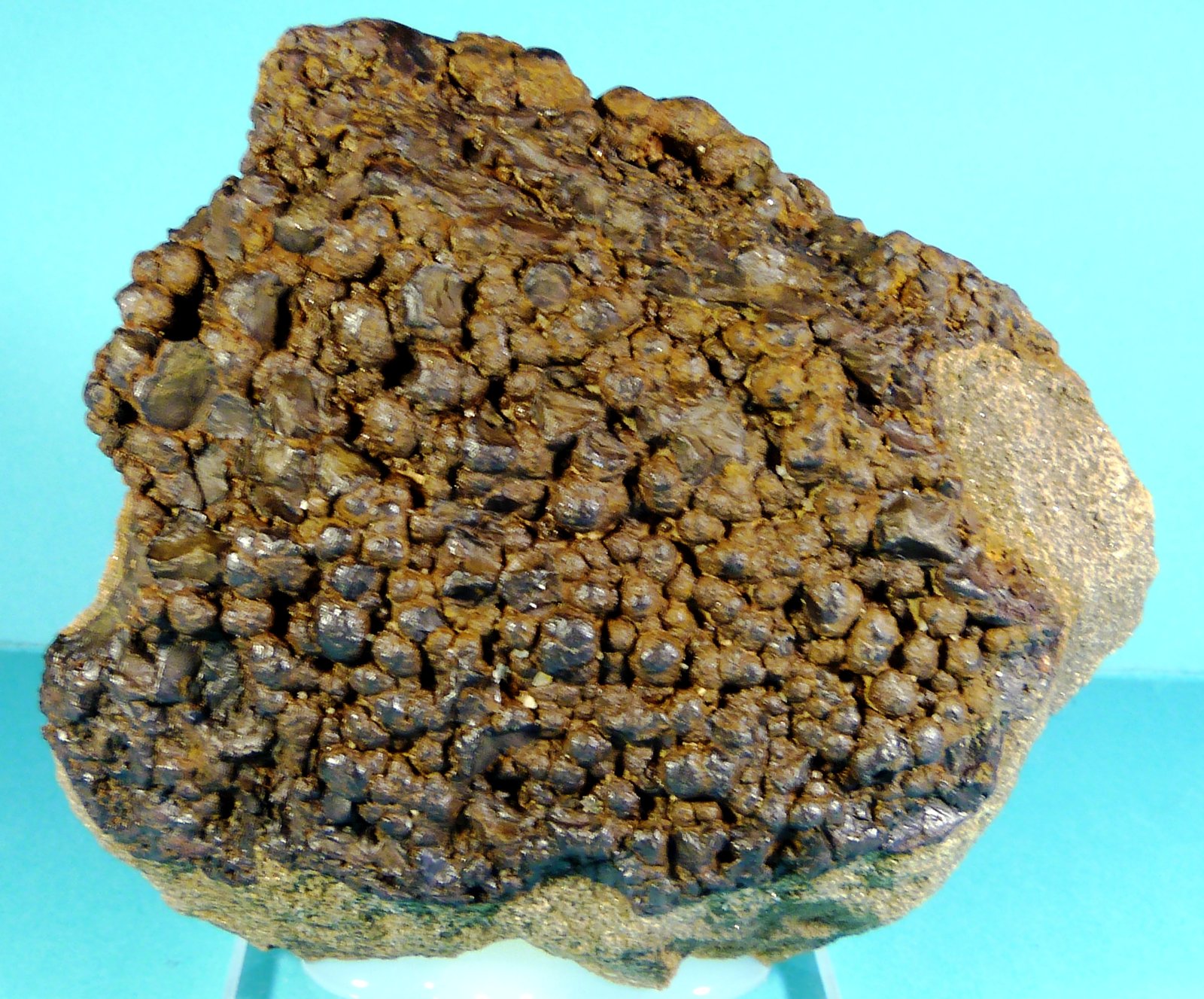 Goethita
9 x 8 x 3 cm.
(Autor: Felipe Abolafia)