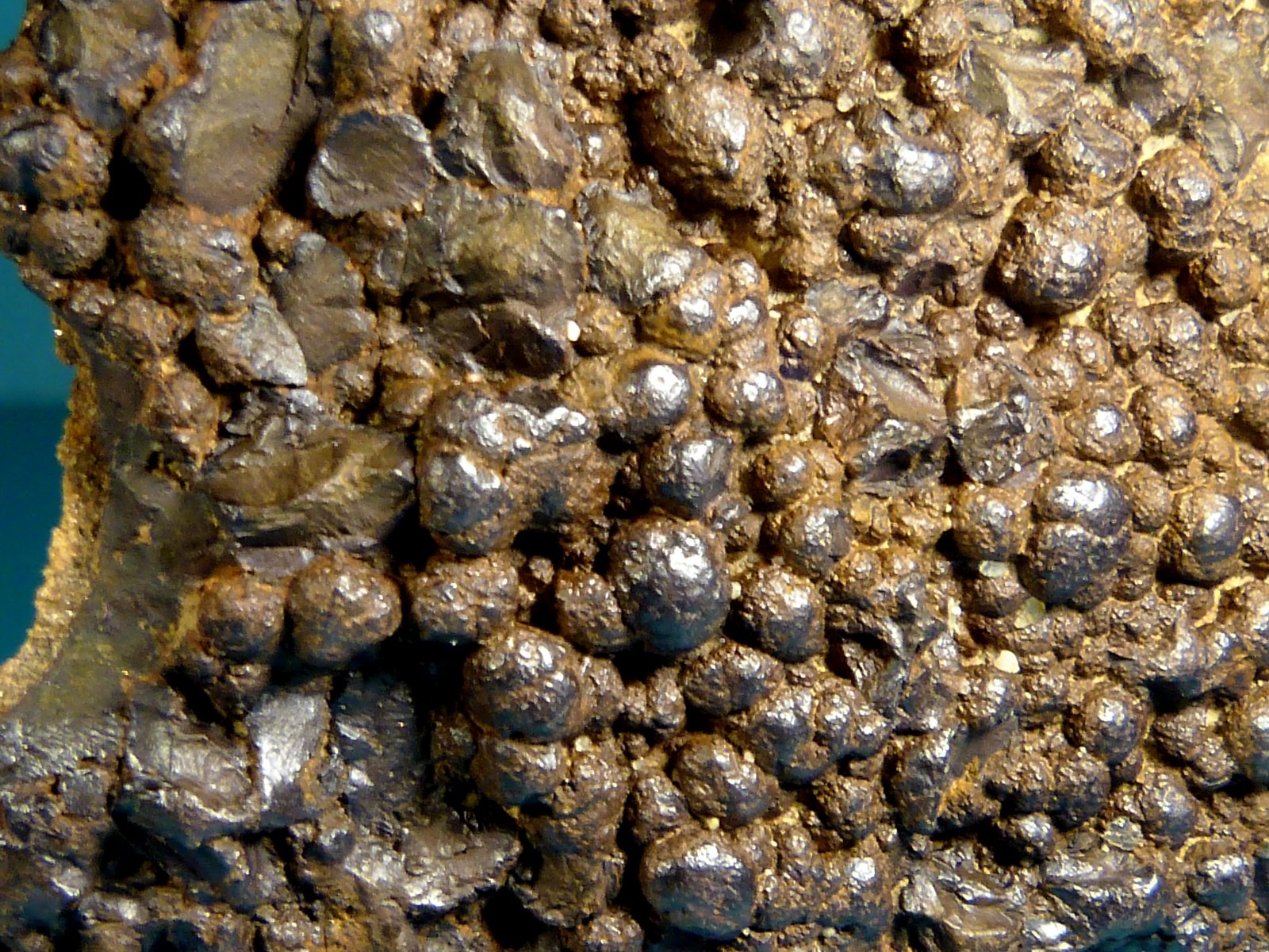 Goethita
9 x 8 x 3 cm.
(Autor: Felipe Abolafia)