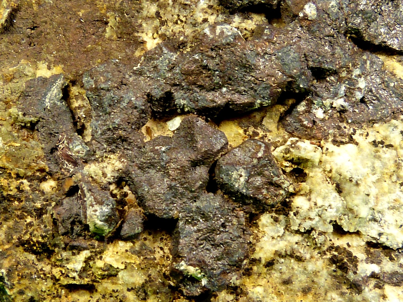 Galena
12 x 6 x 8 cm.
(Autor: Felipe Abolafia)