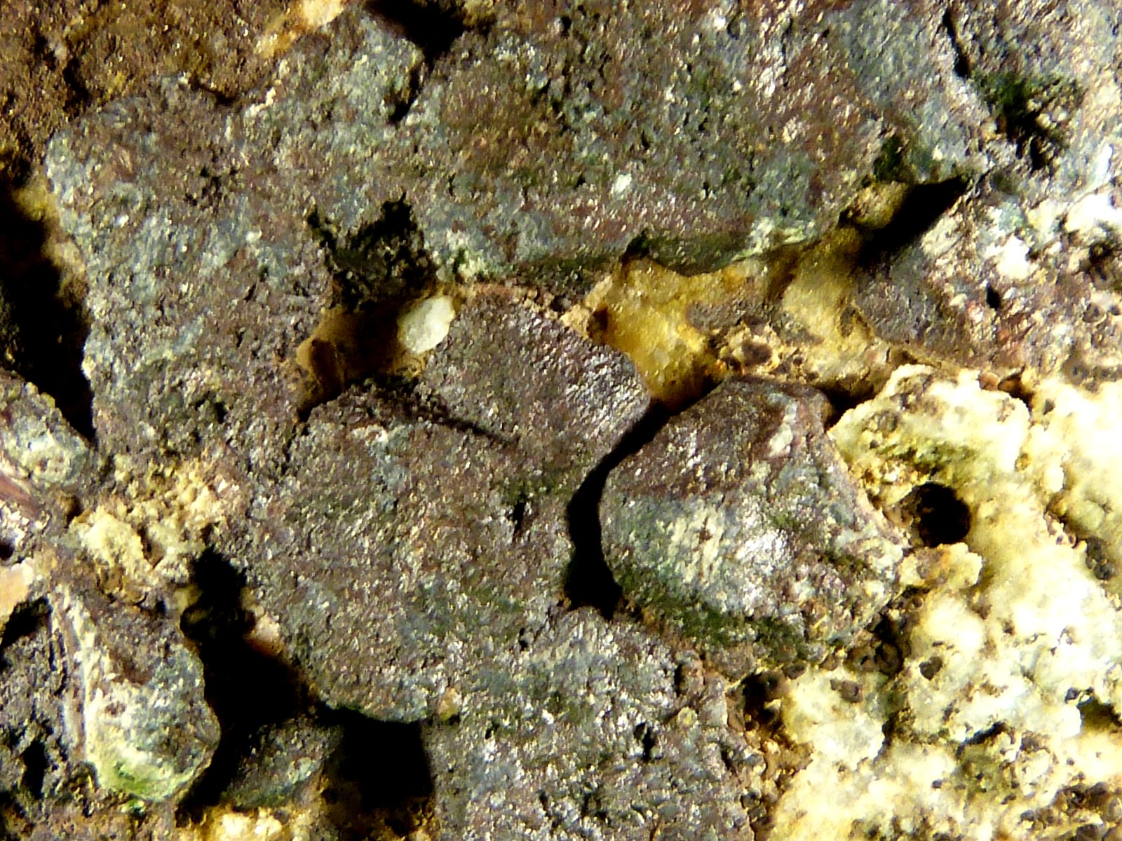Galena
12 x 6 x 8 cm.
(Autor: Felipe Abolafia)