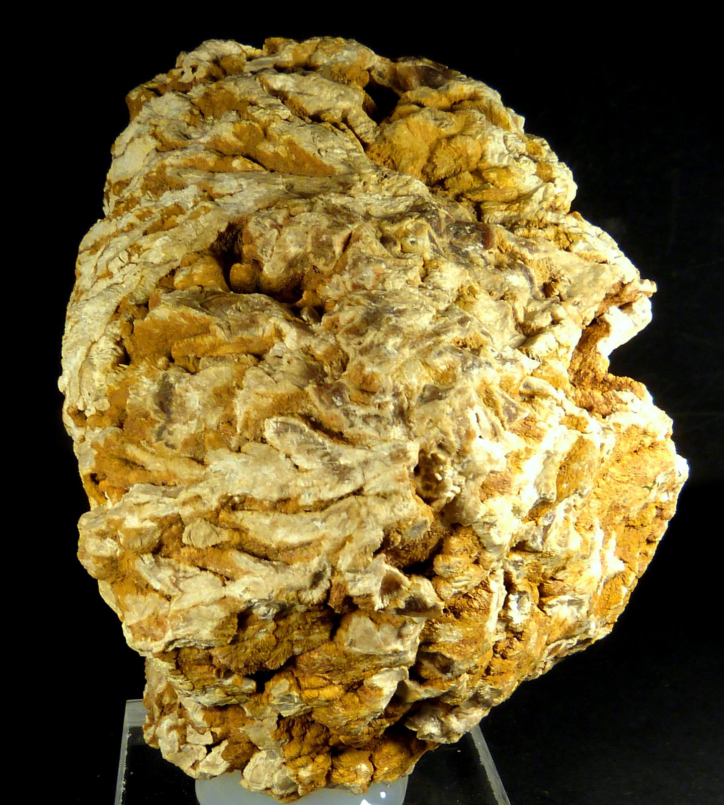 Smithsonita
5 x 7 x 4 cm.
(Autor: Felipe Abolafia)