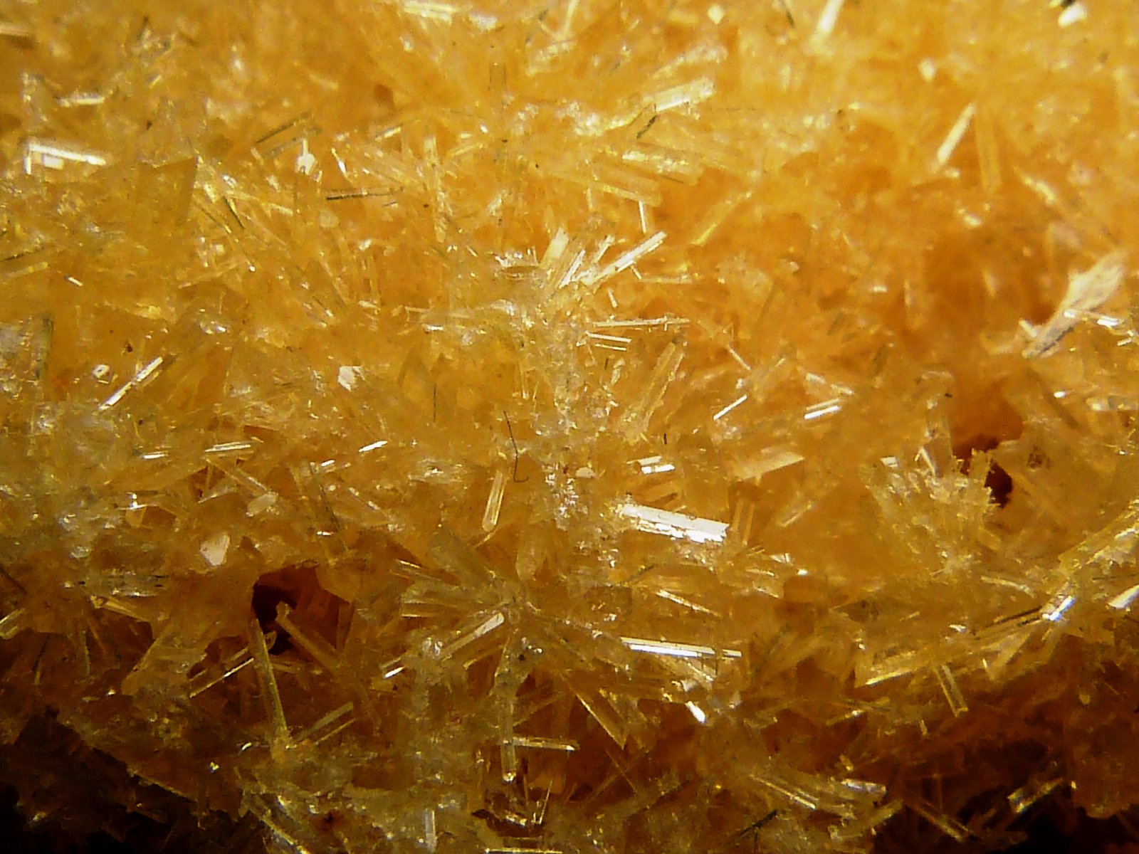 Yeso
6 x 3,5 x 3,5 cm.
(Autor: Felipe Abolafia)