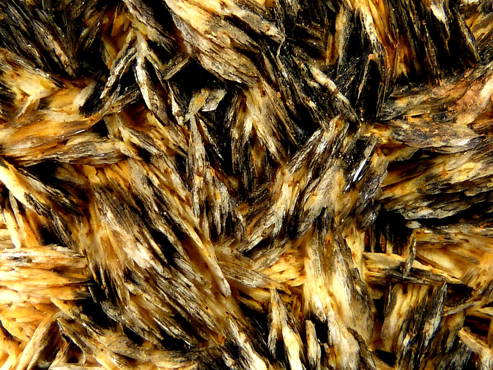 Barita y Mimetita
7,5 x 6 x 1 cm.
(Autor: Felipe Abolafia)