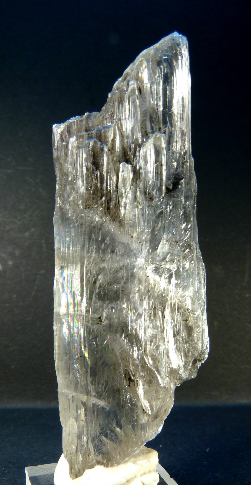 Yeso
8 x 3 x 1,5 cm.
(Autor: Felipe Abolafia)