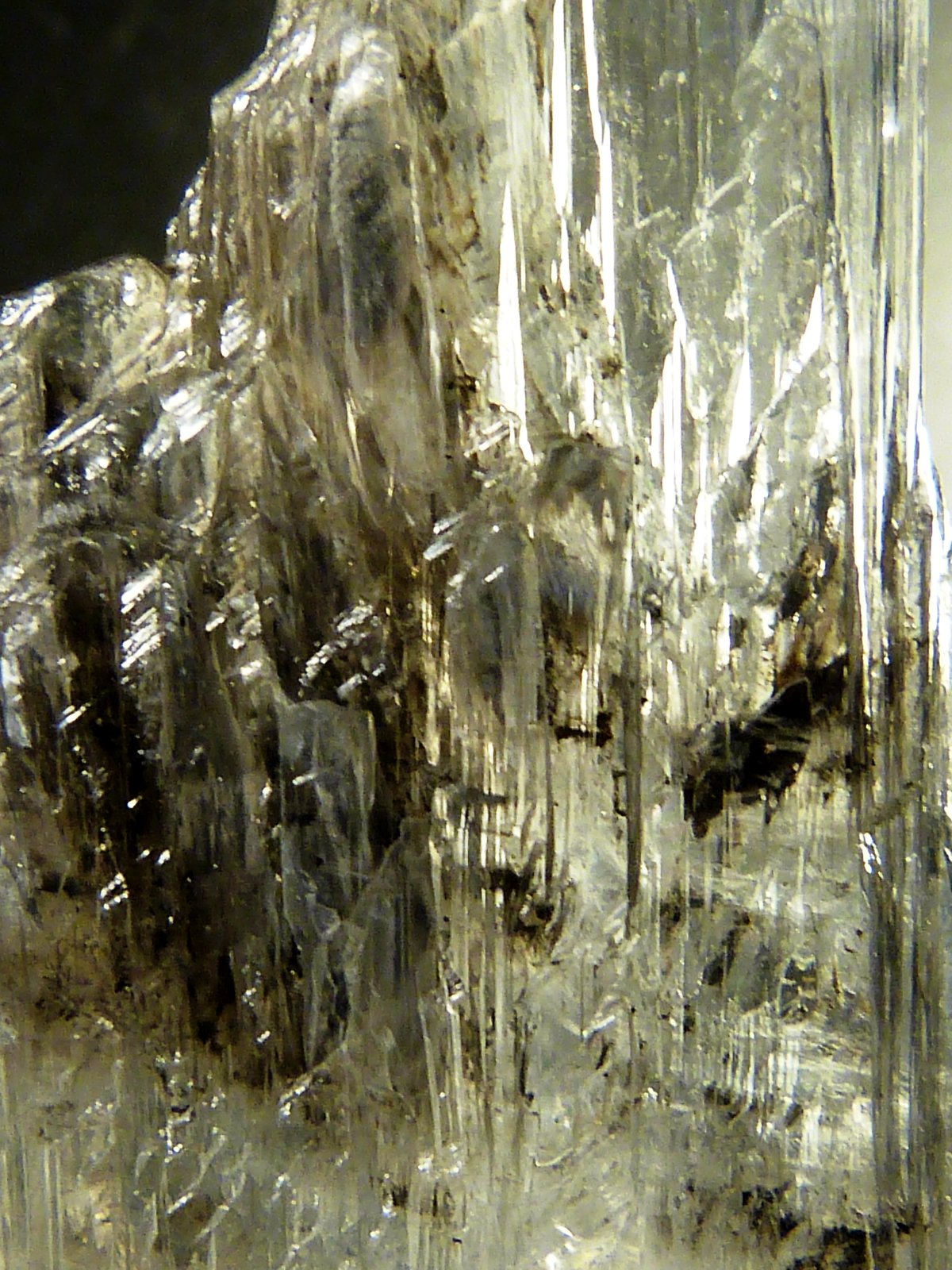 Yeso
8 x 3 x 1,5 cm.
(Autor: Felipe Abolafia)