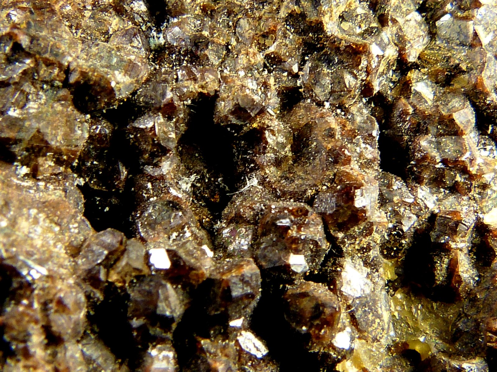 Granatita
9 x 7 x 4 cm.
(Autor: Felipe Abolafia)