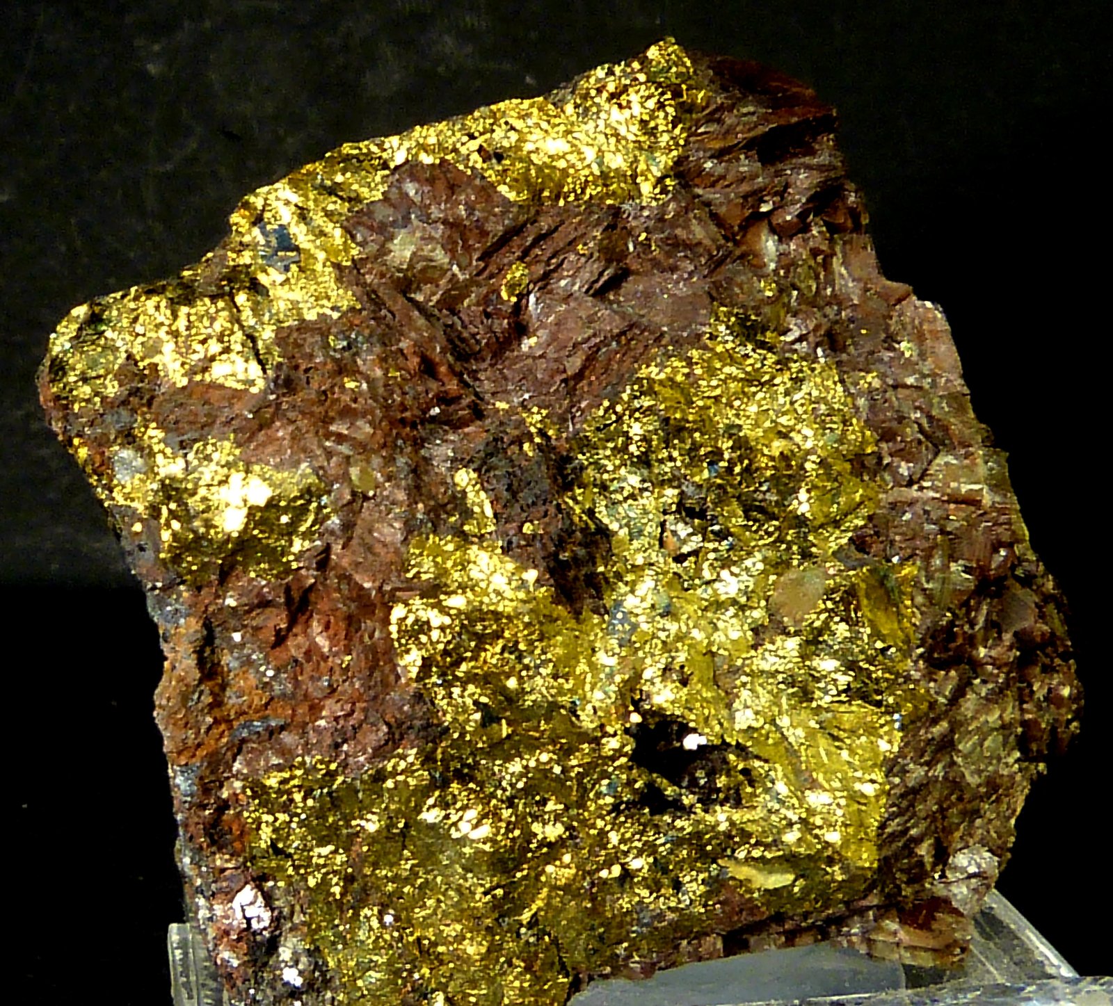 Calcopirita sobre siderita
4,5 x 3,5 x 3,5 cm.
(Autor: Felipe Abolafia)