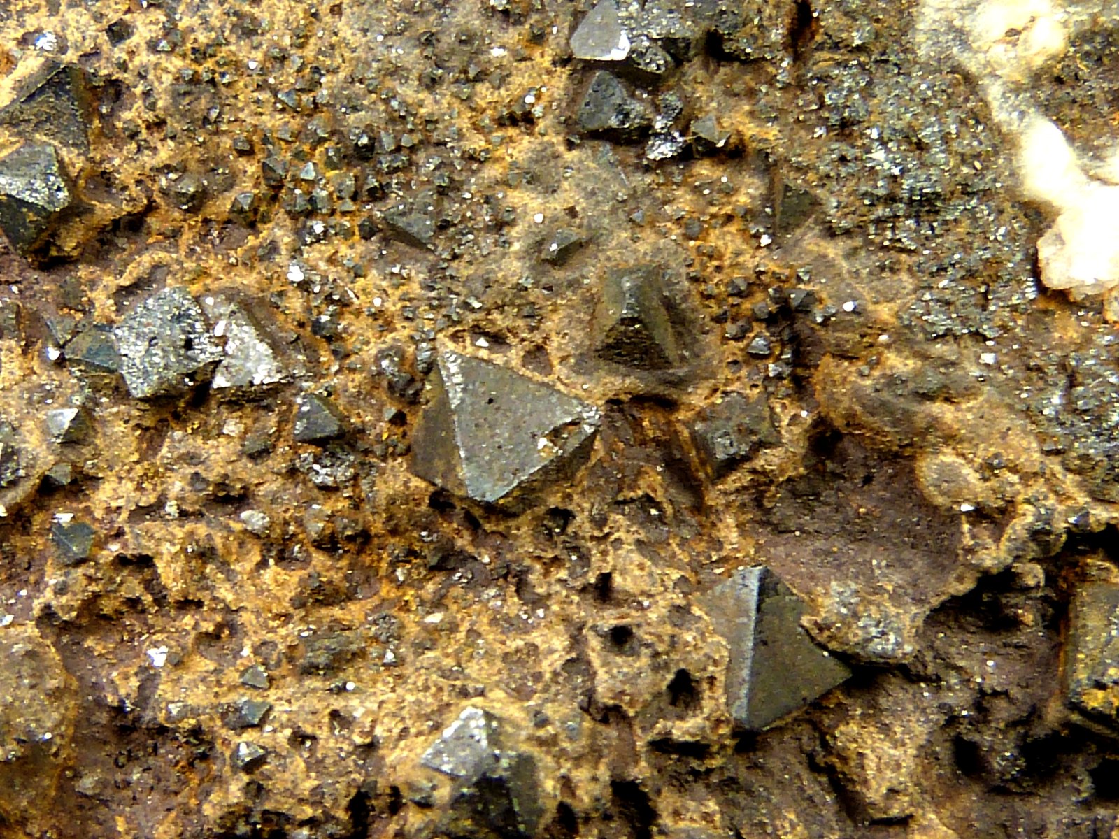 Magnetita
9 x 8 x 4 cm.
(Autor: Felipe Abolafia)