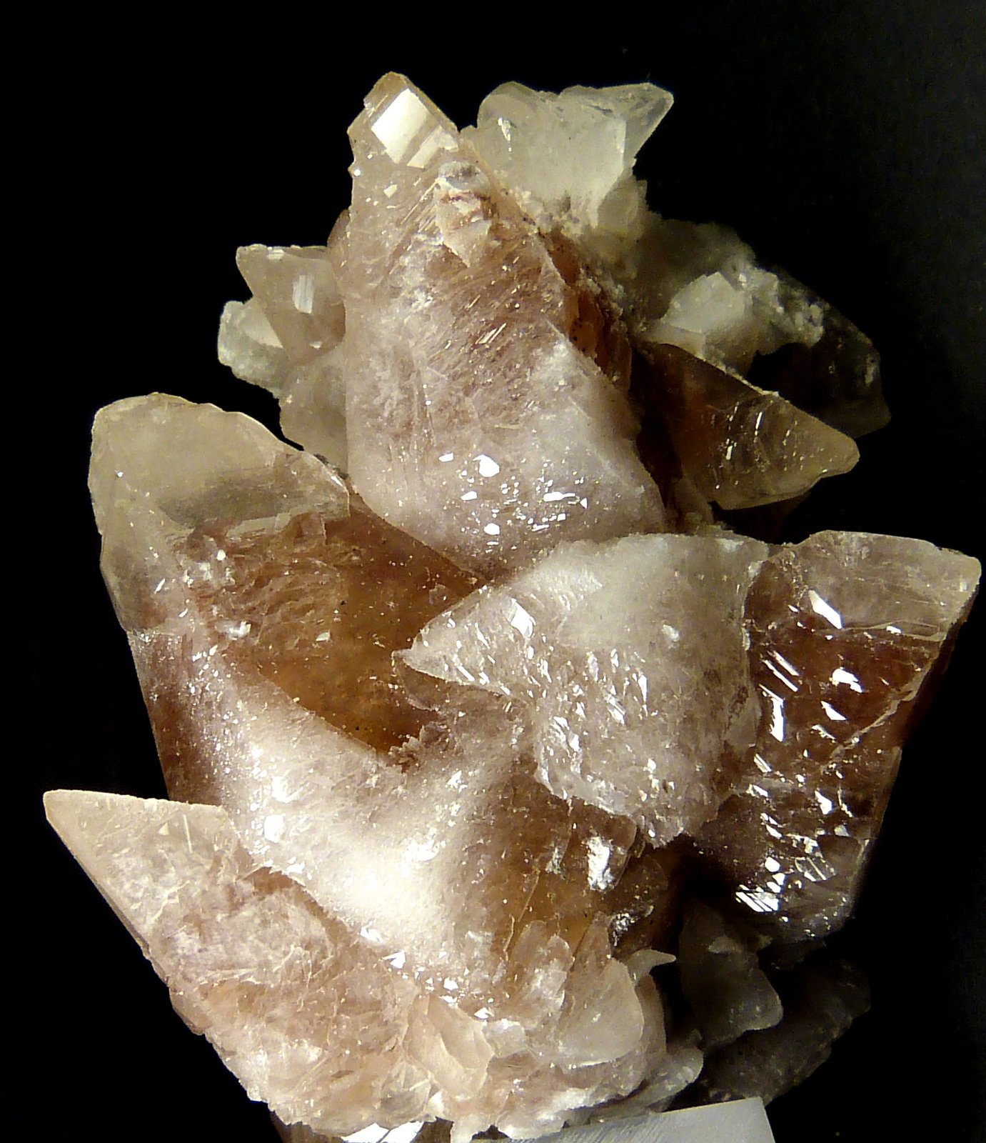Calcita
5 x 5 x 3 cm.
(Autor: Felipe Abolafia)