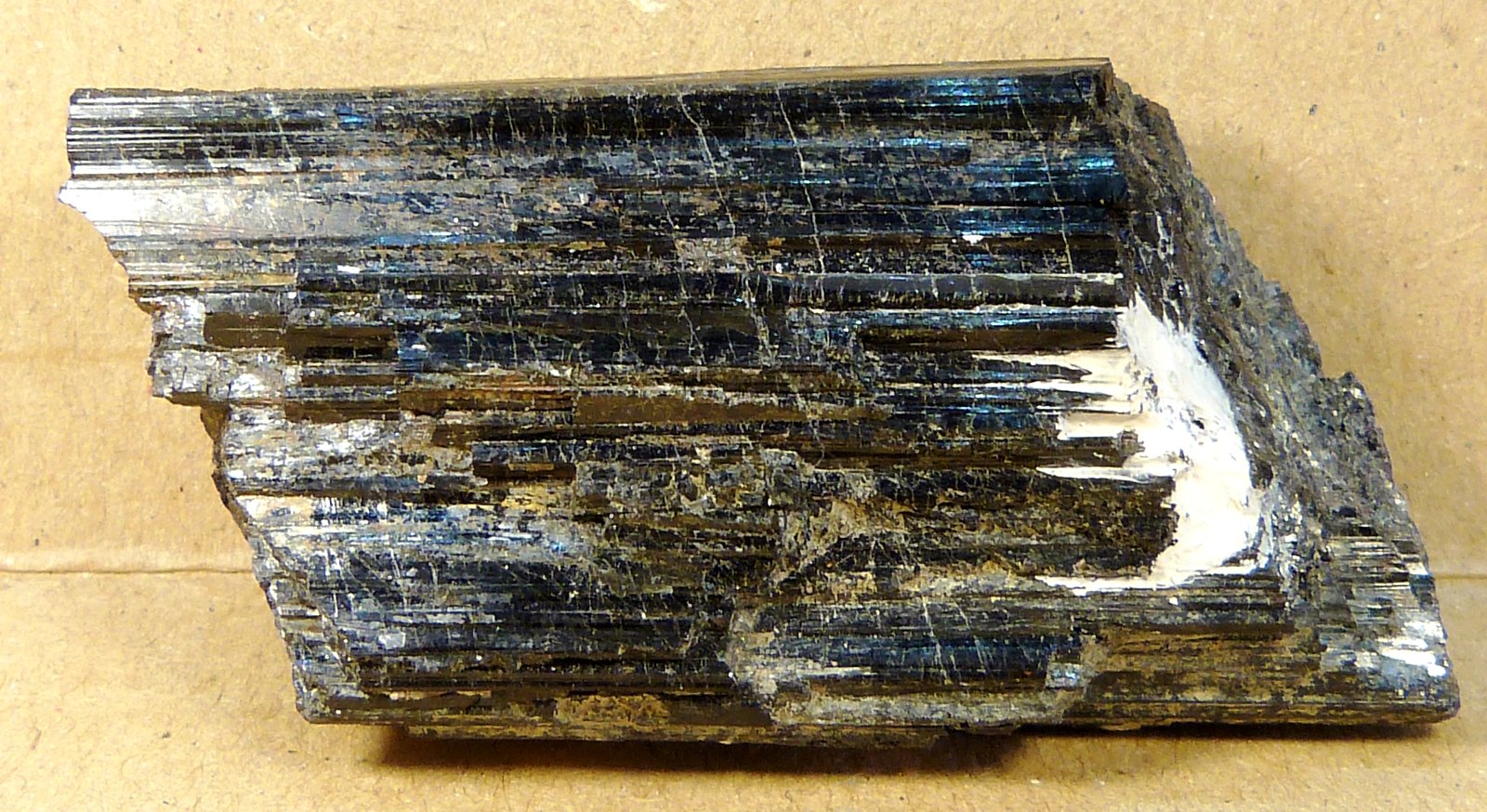 Chorlo (Grupo Turmalina)
4,5 x 2,5 x 1,5 cm.
(Autor: Felipe Abolafia)