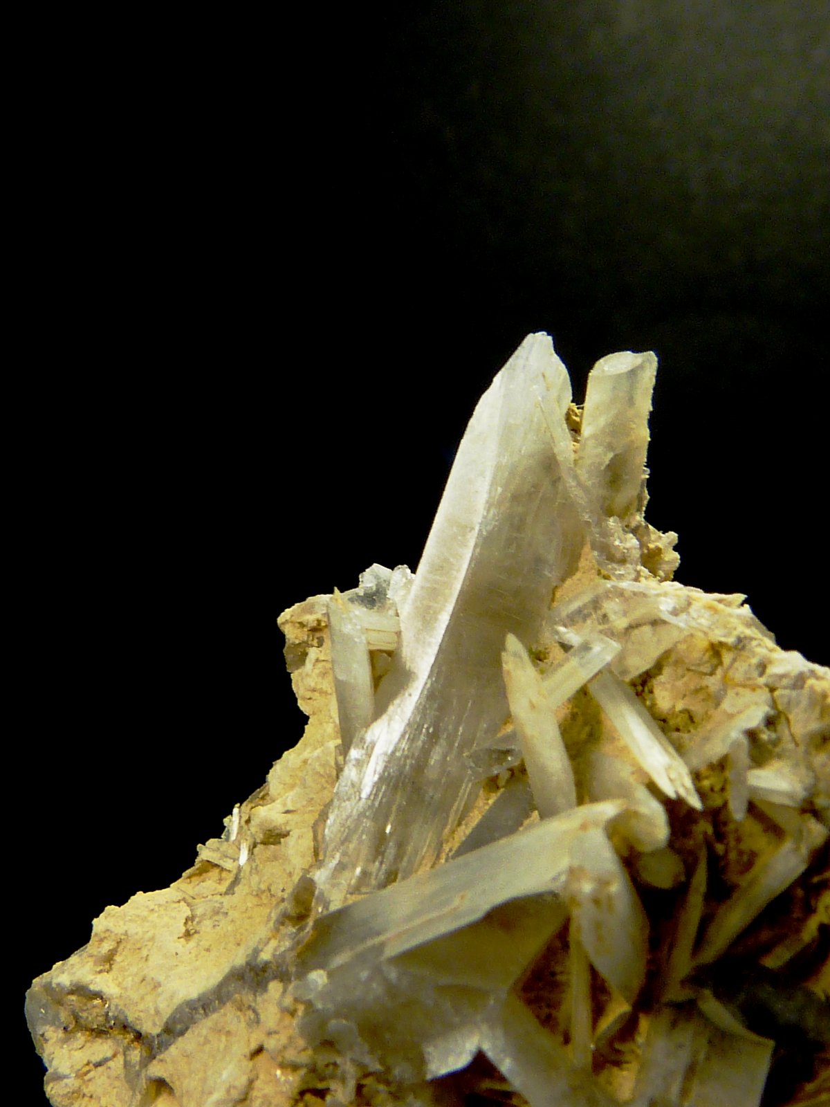 Celestina
17 x 6 x 6 cm.
(Autor: Felipe Abolafia)