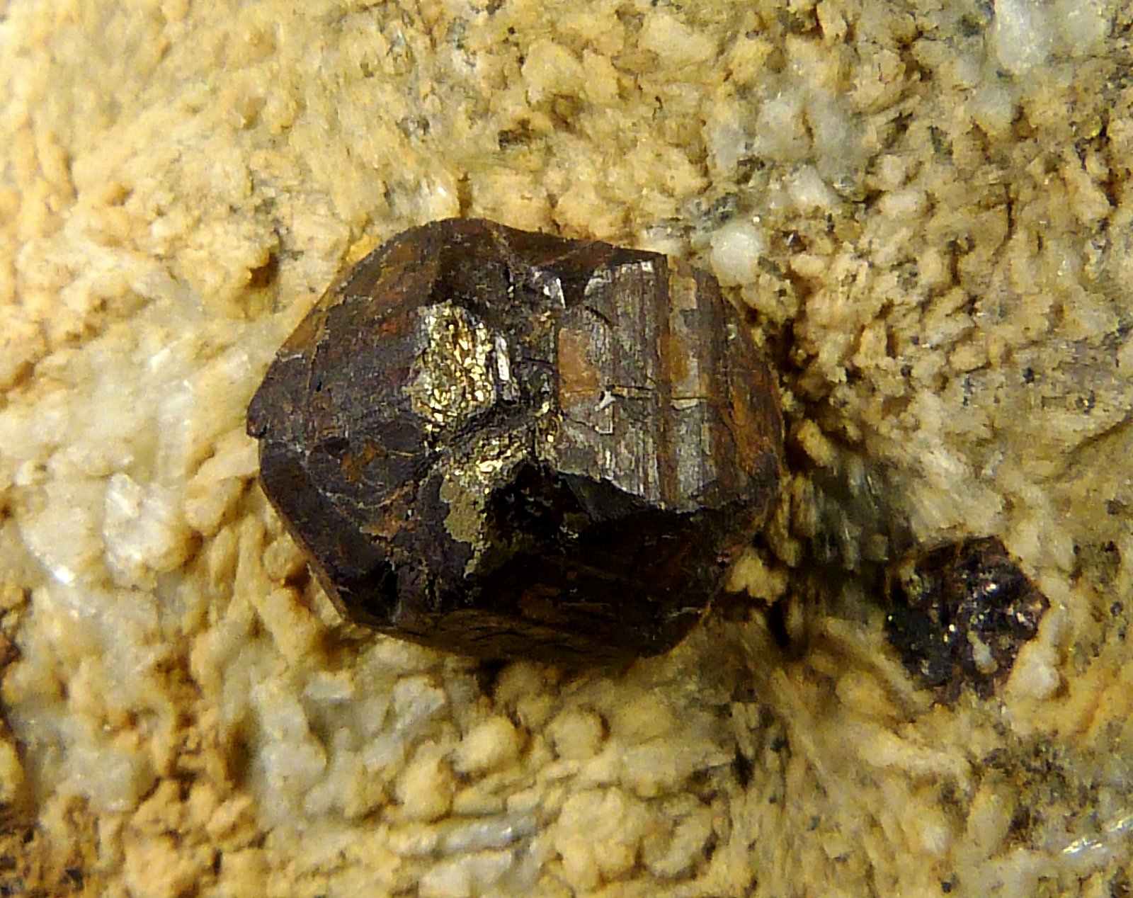 Goethita pseudo Pirita
4,5 x 6 x 3 cm.
(Autor: Felipe Abolafia)