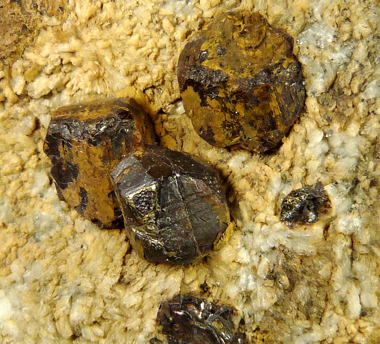Goethita pseudo Pirita
4,5 x 6 x 3 cm.
(Autor: Felipe Abolafia)