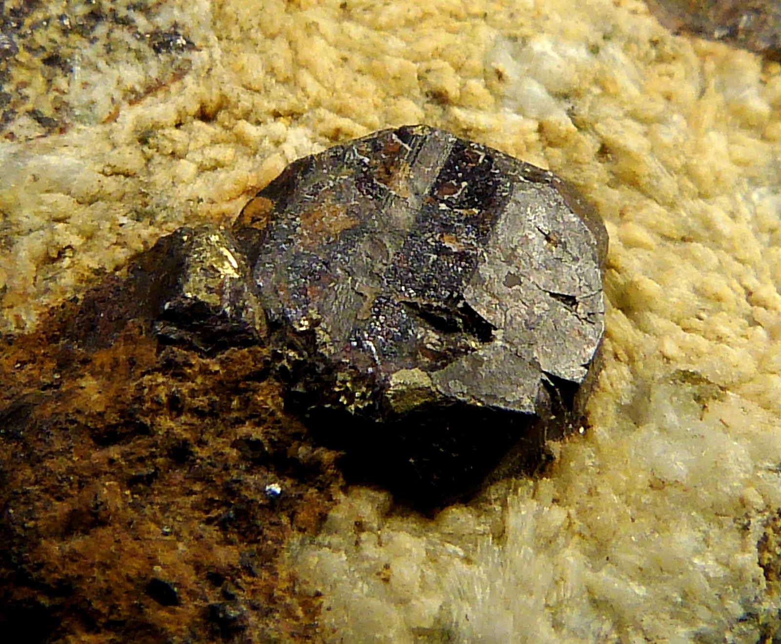 Goethita pseudo Pirita
4,5 x 6 x 3 cm.
(Autor: Felipe Abolafia)
