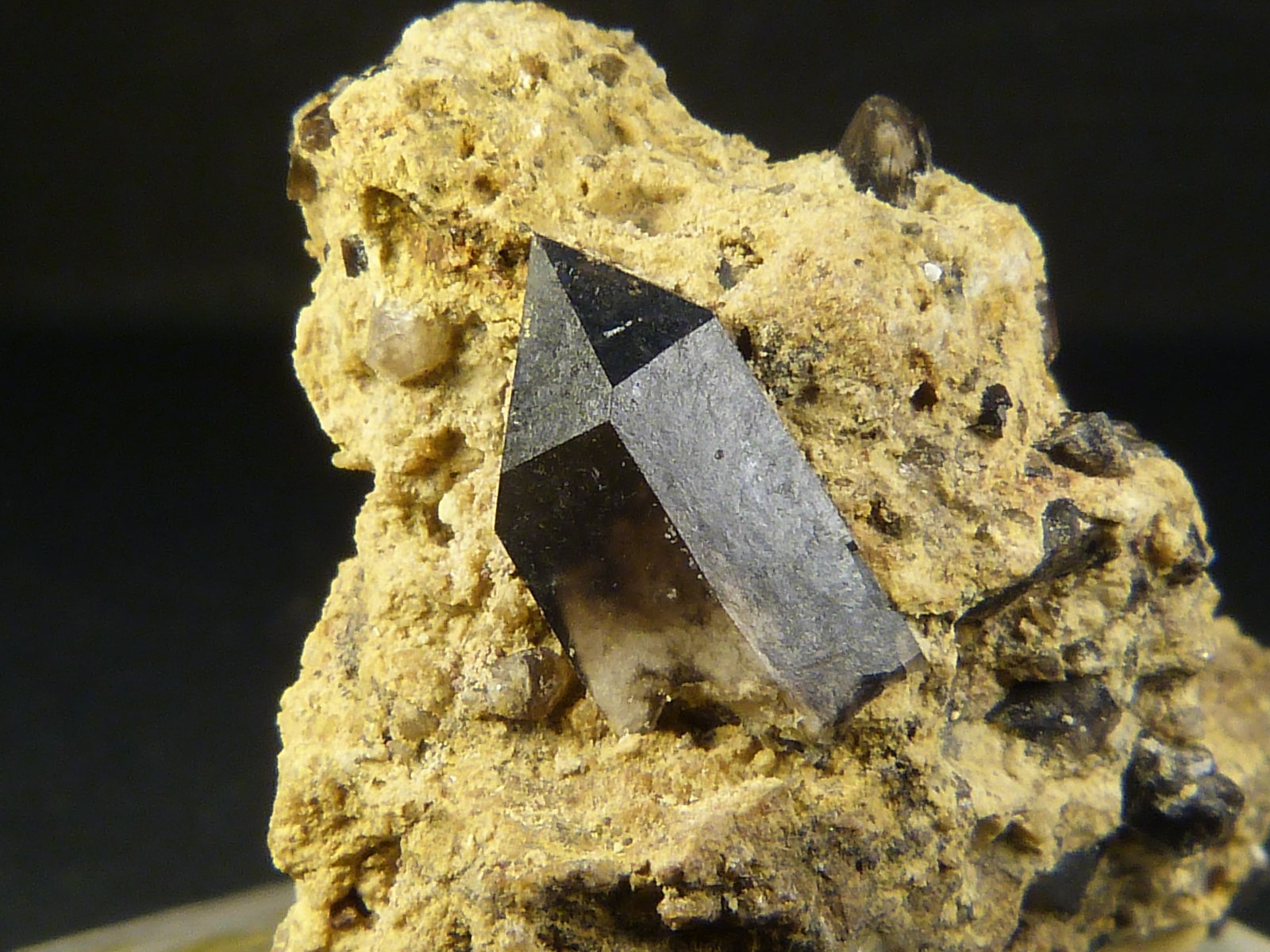 Cuarzo (variedad morión)
2,5 x 2 x 1,5 cm.
(Autor: Felipe Abolafia)
