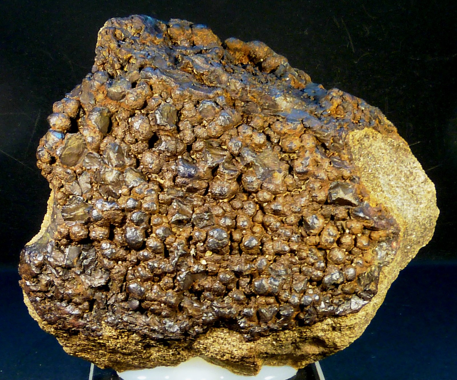 Goethita
9 x 8 x 3 cm.
(Autor: Felipe Abolafia)