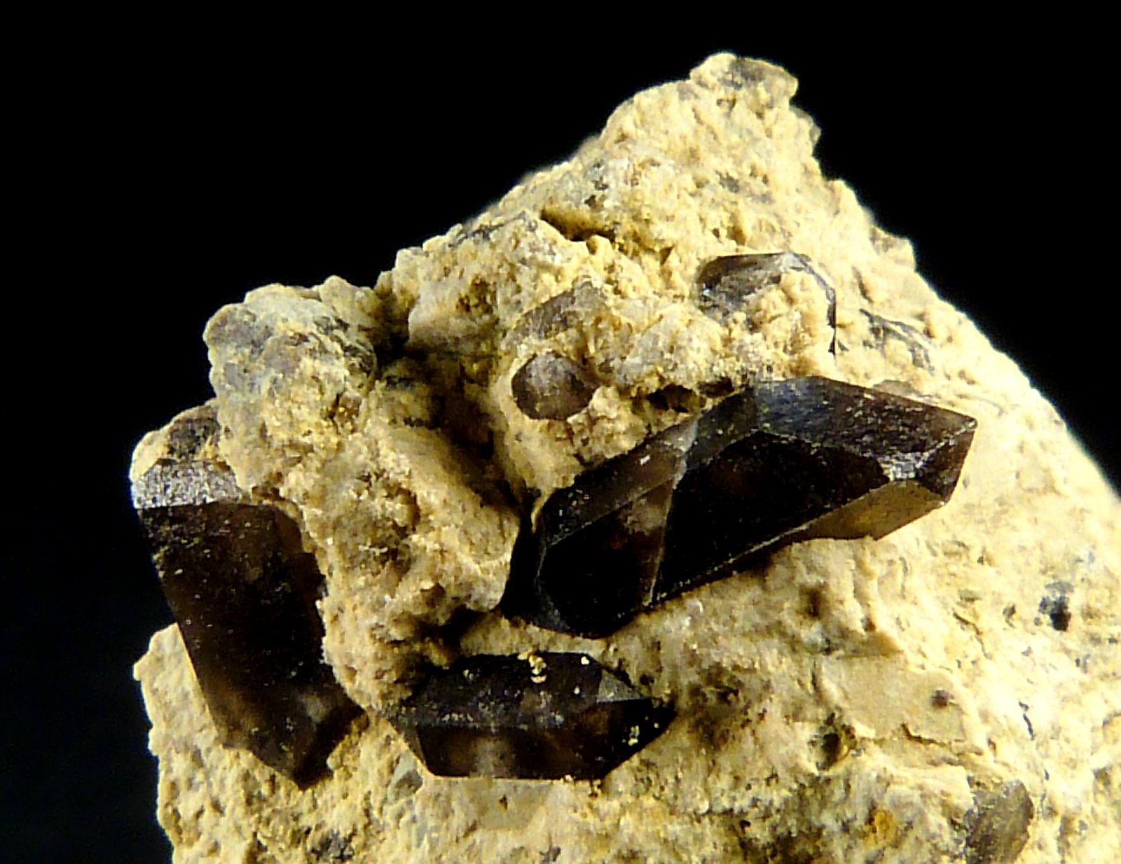 Cuarzo (variedad morión)
2 x 2,5 x 2 cm.
(Autor: Felipe Abolafia)