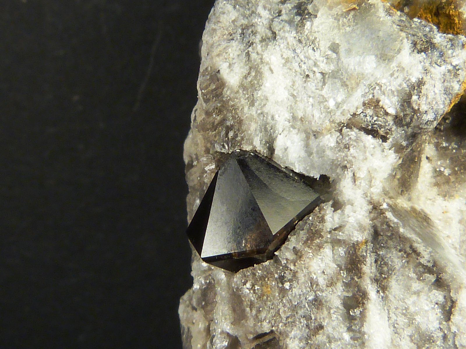 Cuarzo (variedad morión)
2,5 x 5,5 x 2 cm.
(Autor: Felipe Abolafia)