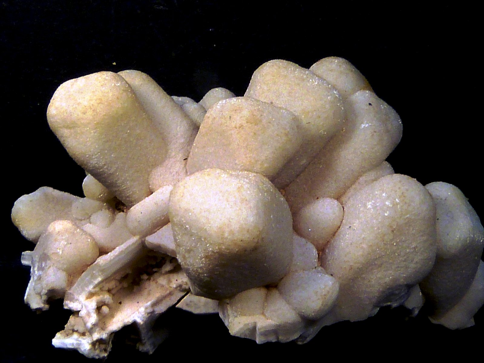 Celestina
5,5 x 3 x 2,5 cm.
(Autor: Felipe Abolafia)