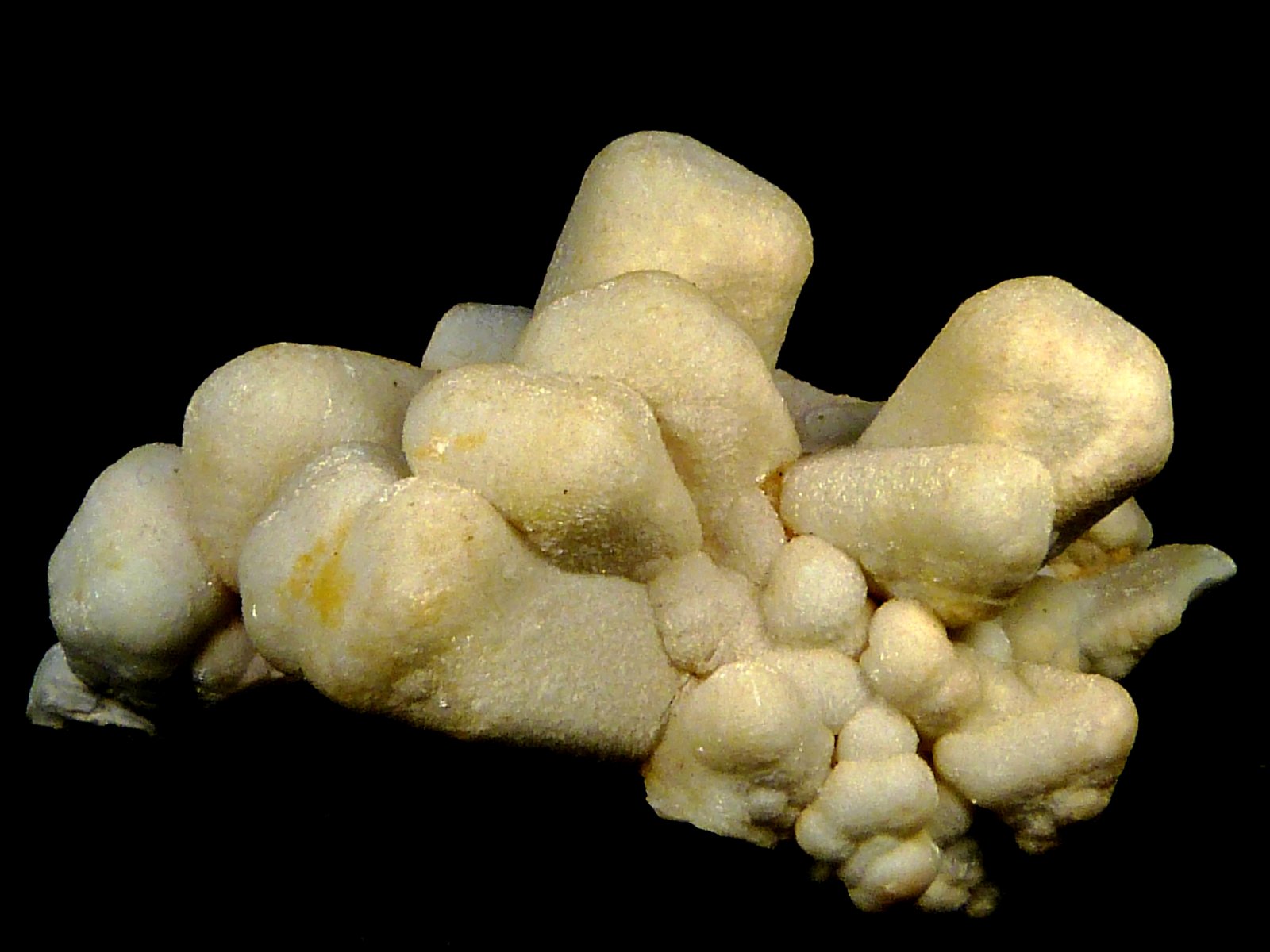 Celestina
5,5 x 3 x 2,5 cm.
(Autor: Felipe Abolafia)
