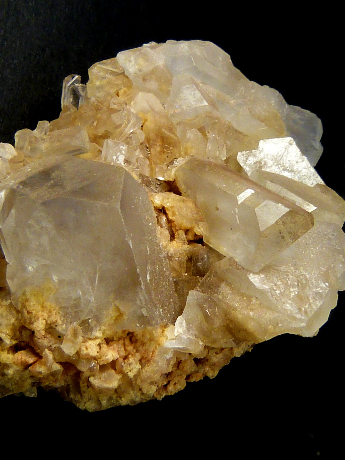 Celestina
4,5 x 3 x 2,5 cm.
(Autor: Felipe Abolafia)