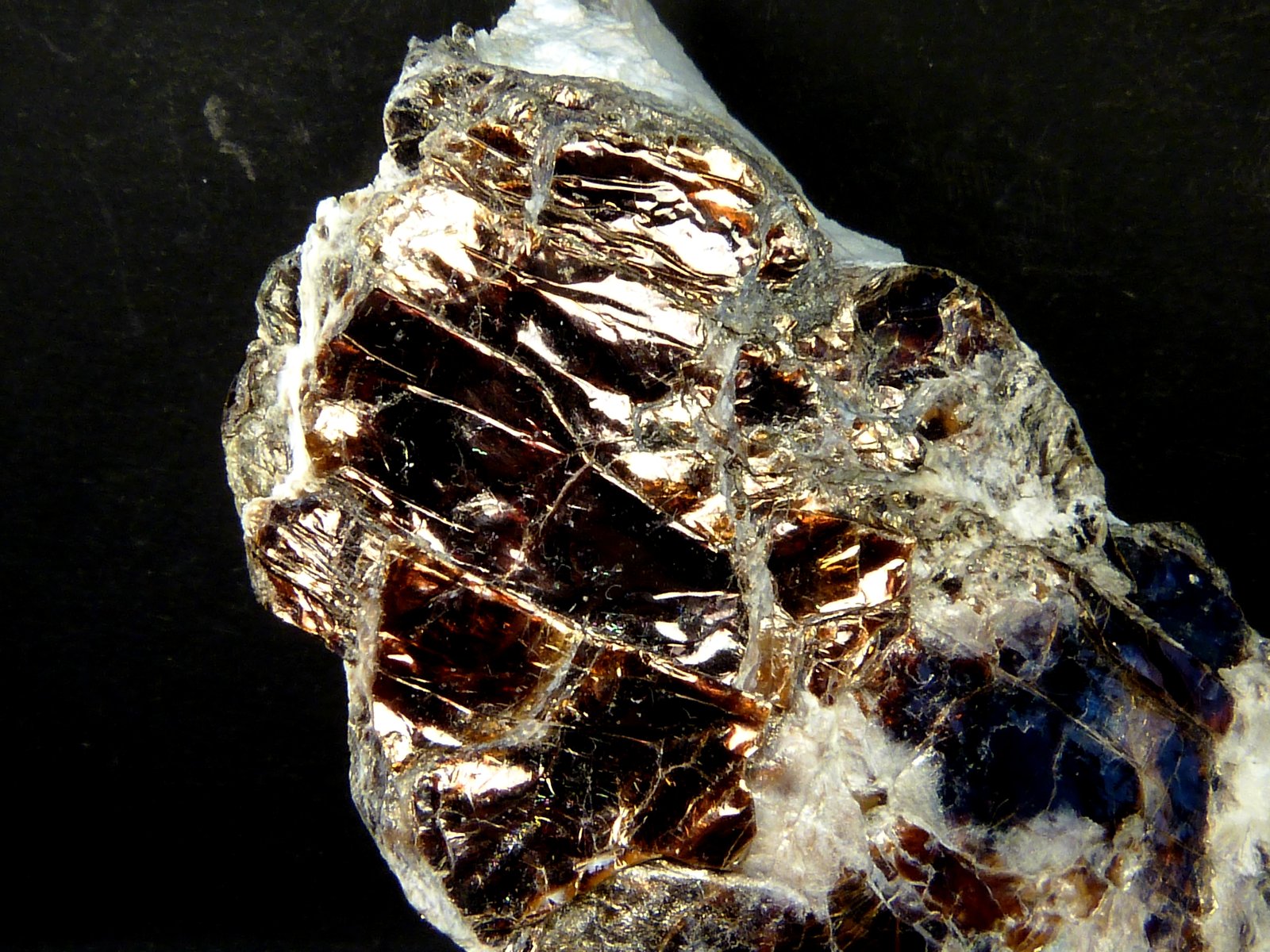 Vermiculita
7 x 5 x 3 cm.
(Autor: Felipe Abolafia)