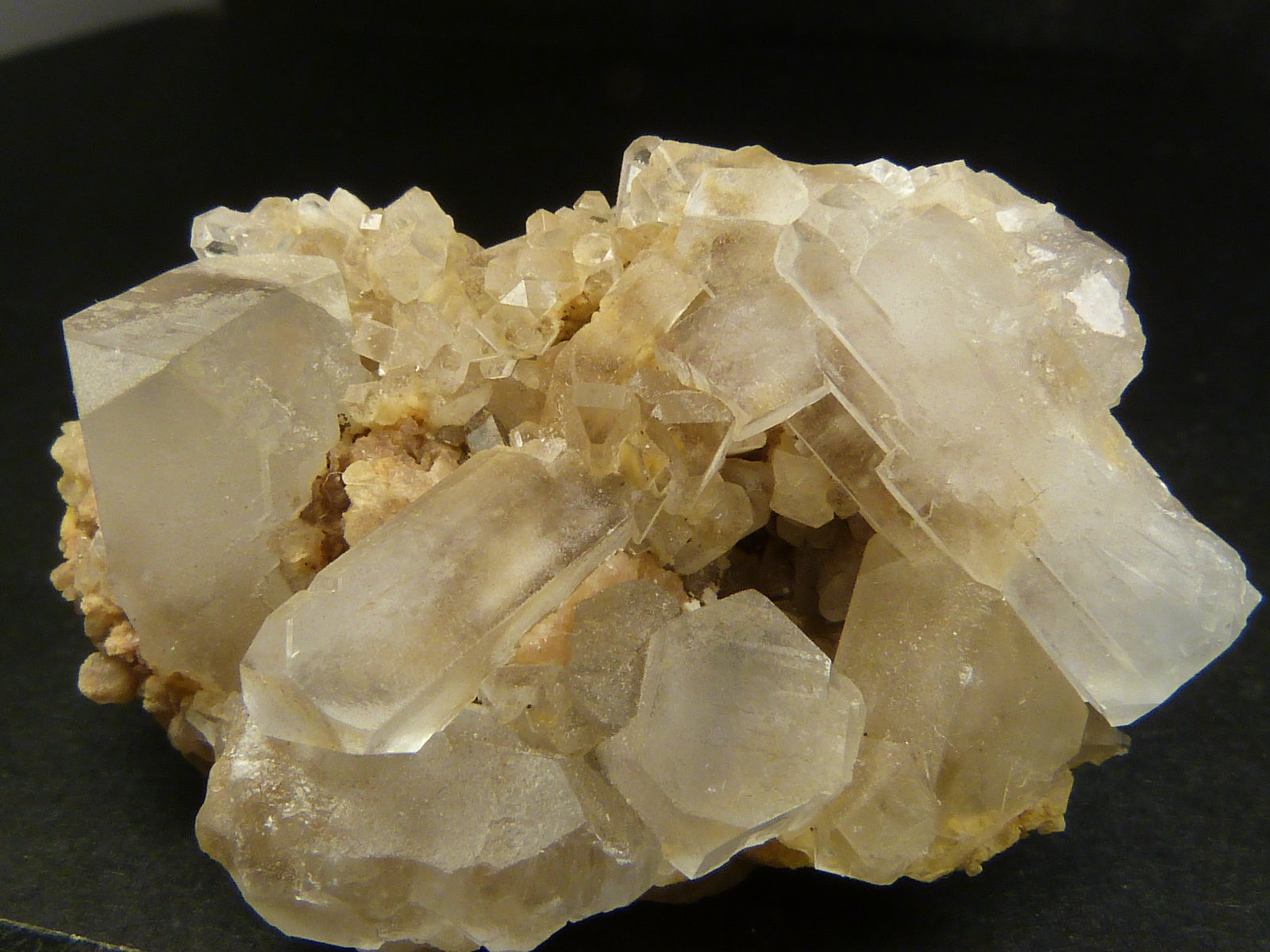 Celestina
4,5 x 3 x 2,5 cm.
(Autor: Felipe Abolafia)