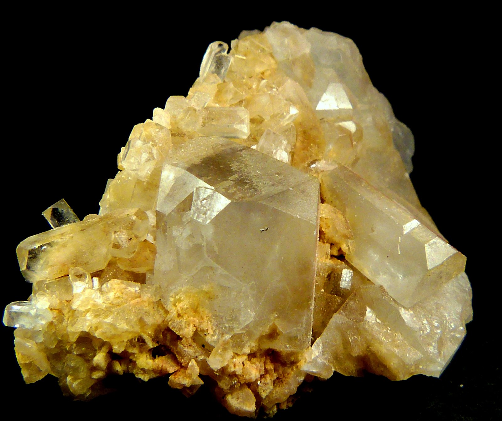 Celestina
4,5 x 3 x 2,5 cm.
(Autor: Felipe Abolafia)