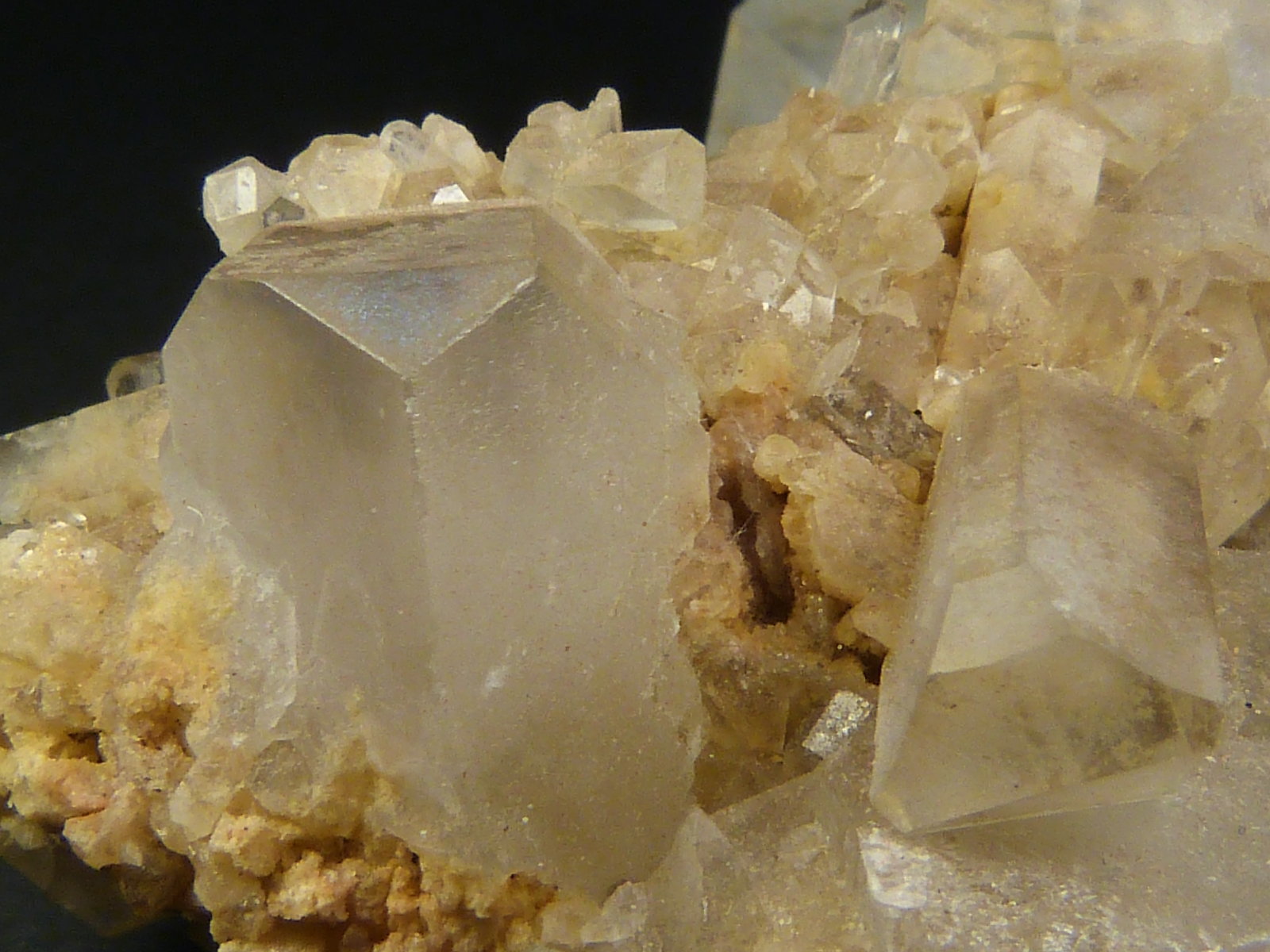 Celestina
4,5 x 3 x 2,5 cm.
(Autor: Felipe Abolafia)