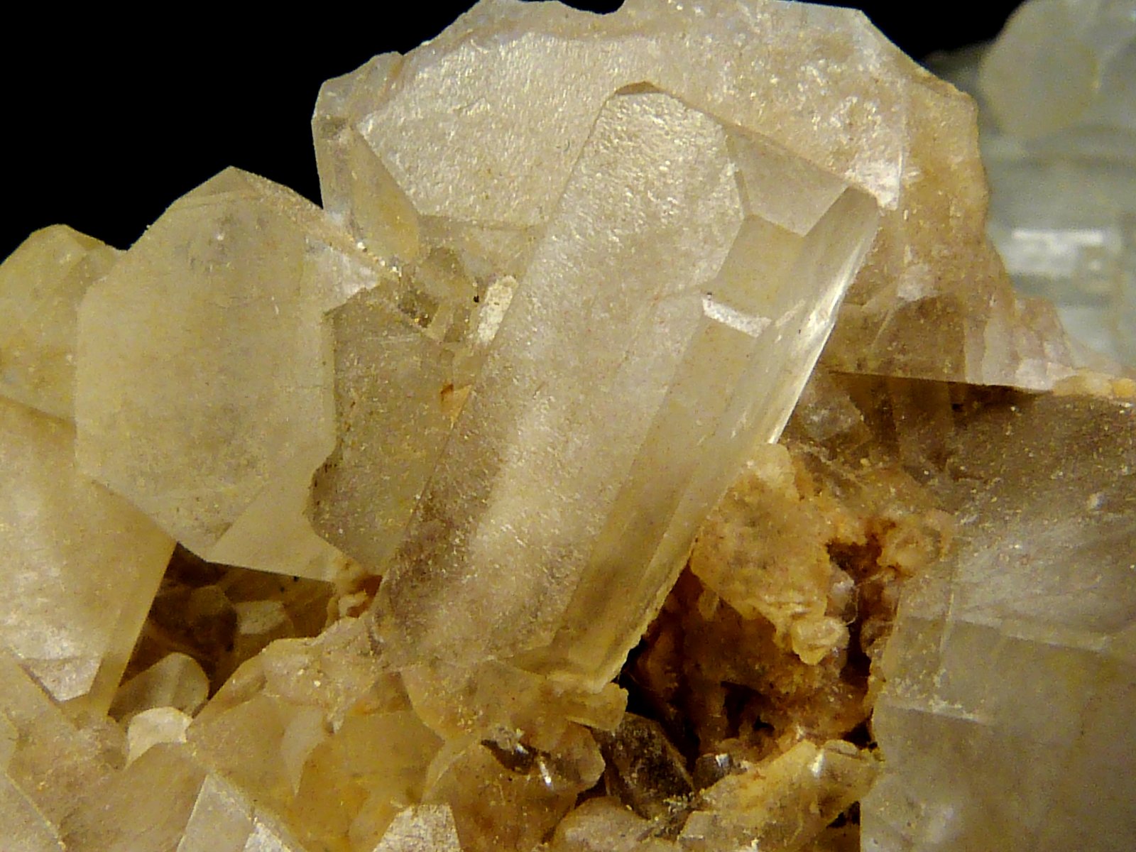 Celestina
4,5 x 3 x 2,5 cm.
(Autor: Felipe Abolafia)