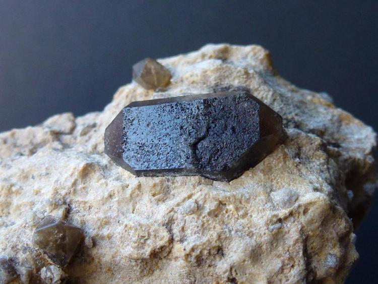 Cuarzo (variedad ahumado)
1,5 x 0,5 cm.
(Autor: javier ruiz martin)