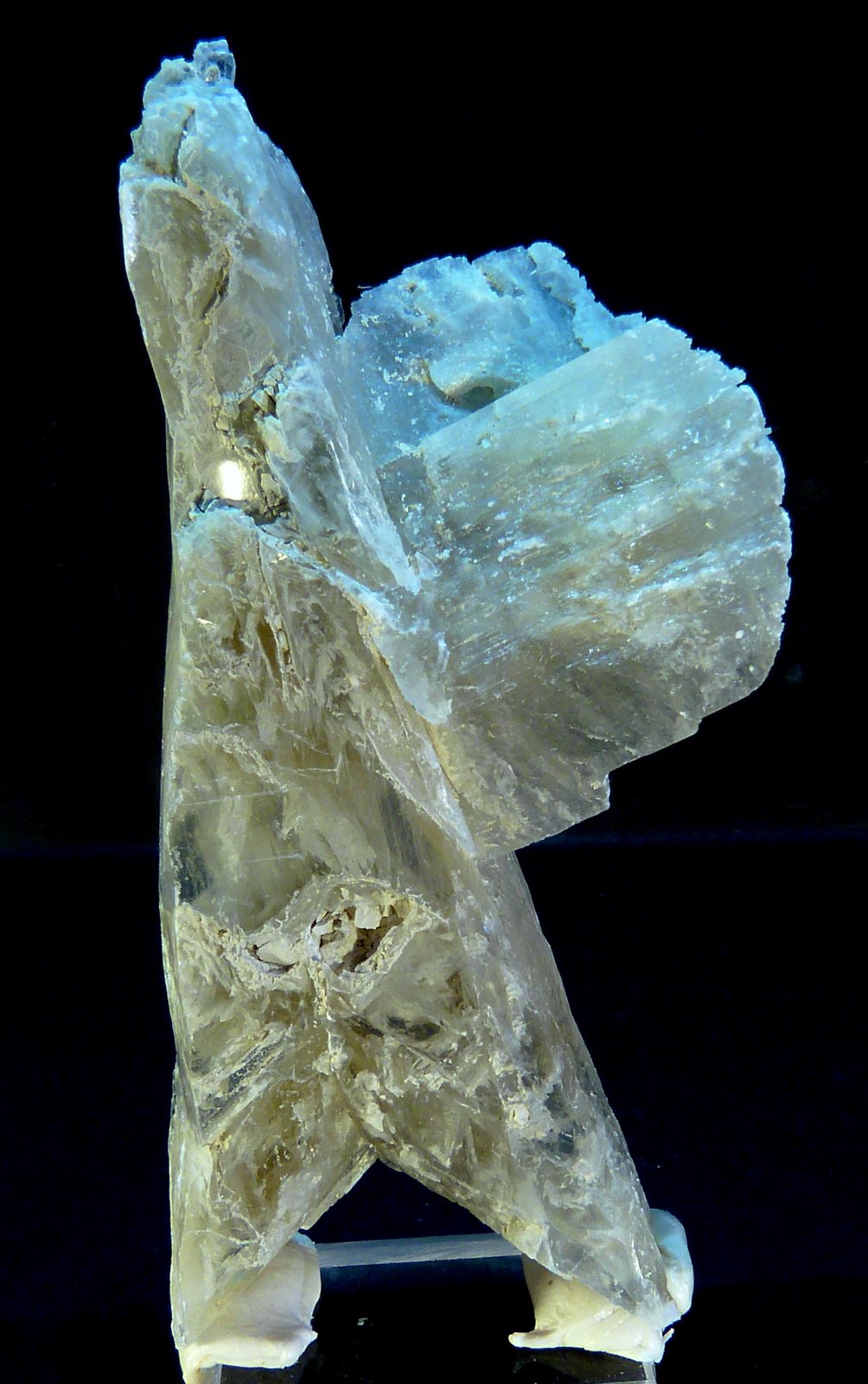 Yeso
8 x 3 x 1,5 cm.
(Autor: Felipe Abolafia)