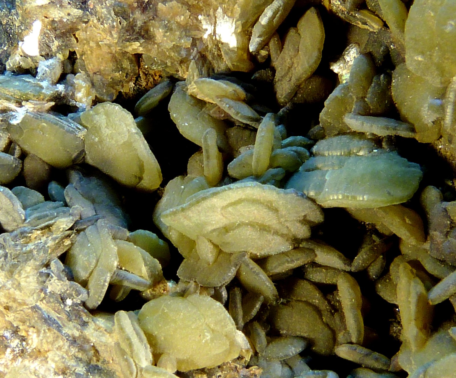 Siderita
8 x 6 x 4 cm.
(Autor: Felipe Abolafia)