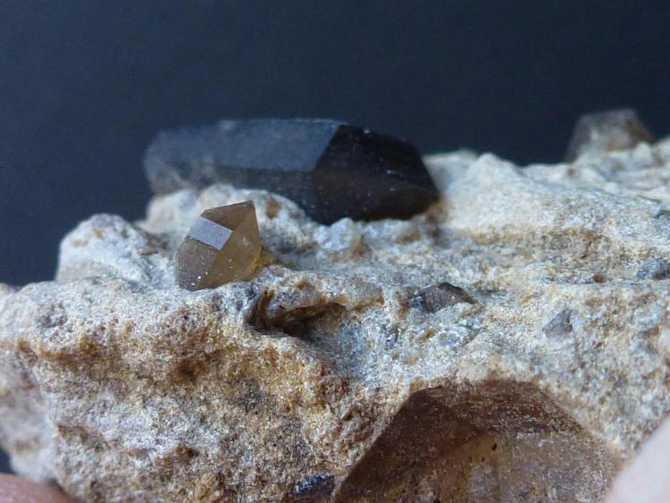 Cuarzo (variedad ahumado)
1,5 x 0,5 cm.
(Autor: javier ruiz martin)
