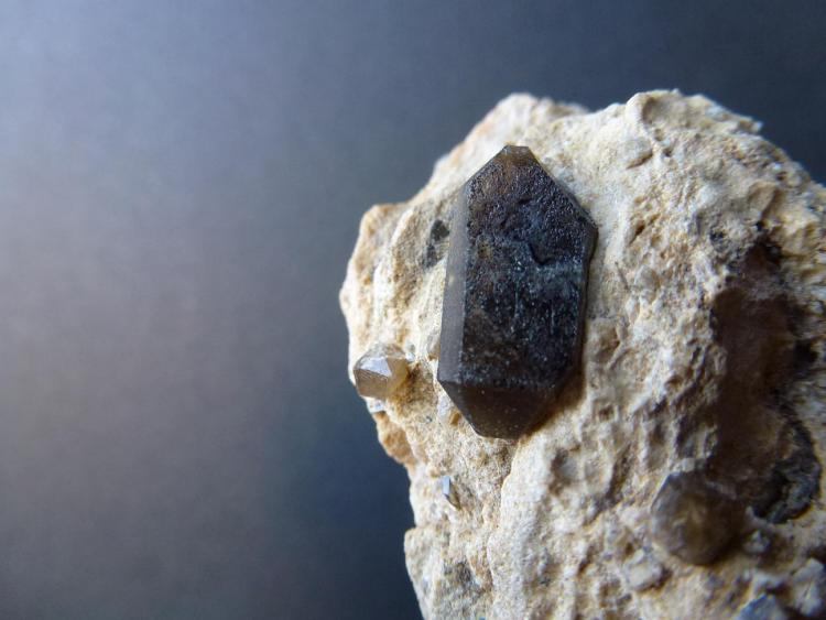 Cuarzo (variedad ahumado)
1,5 x 0,5 cm.
(Autor: javier ruiz martin)