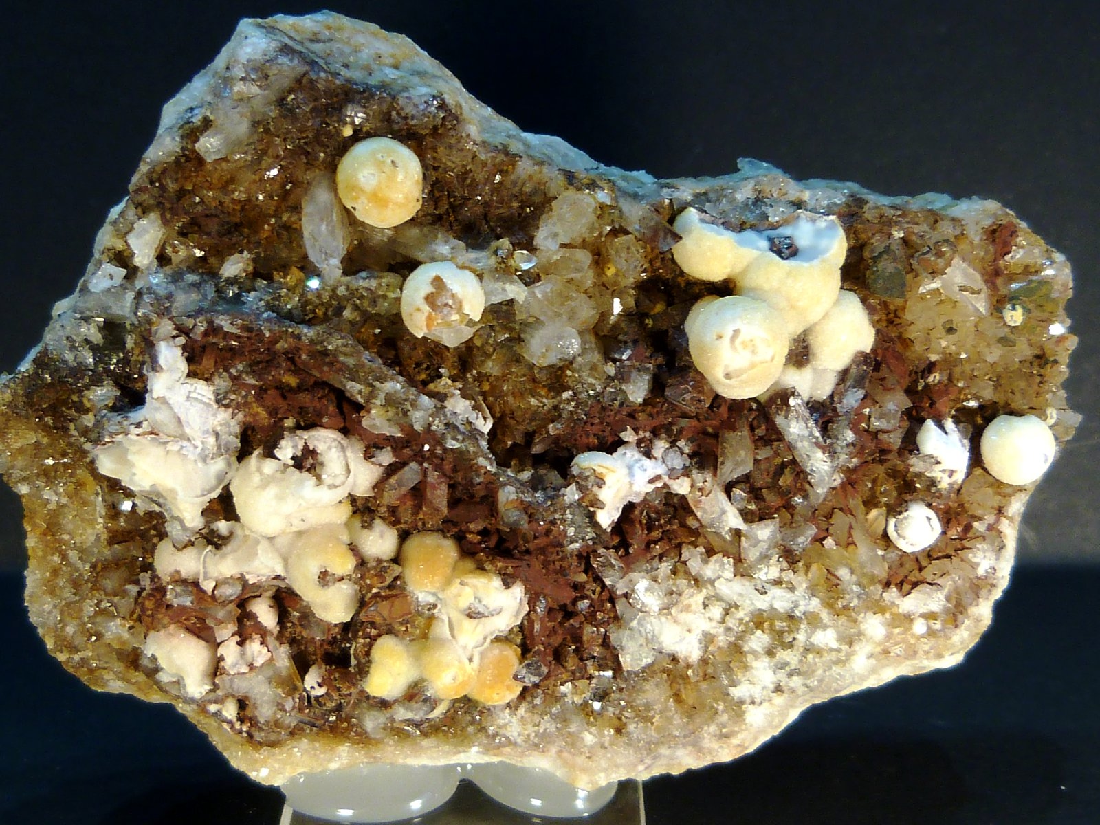 Celestina
10 x 7 x 1,5 cm.
(Autor: Felipe Abolafia)