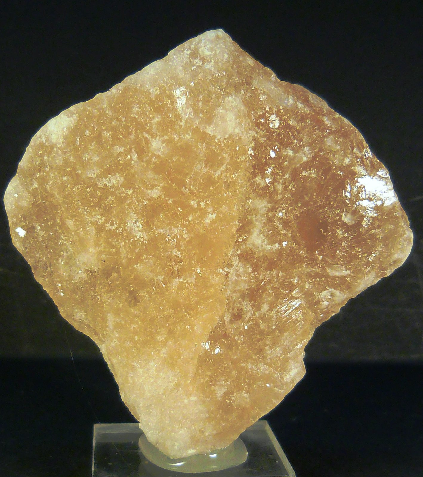 Halita
6 x 6 x 2,5 cm.
(Autor: Felipe Abolafia)