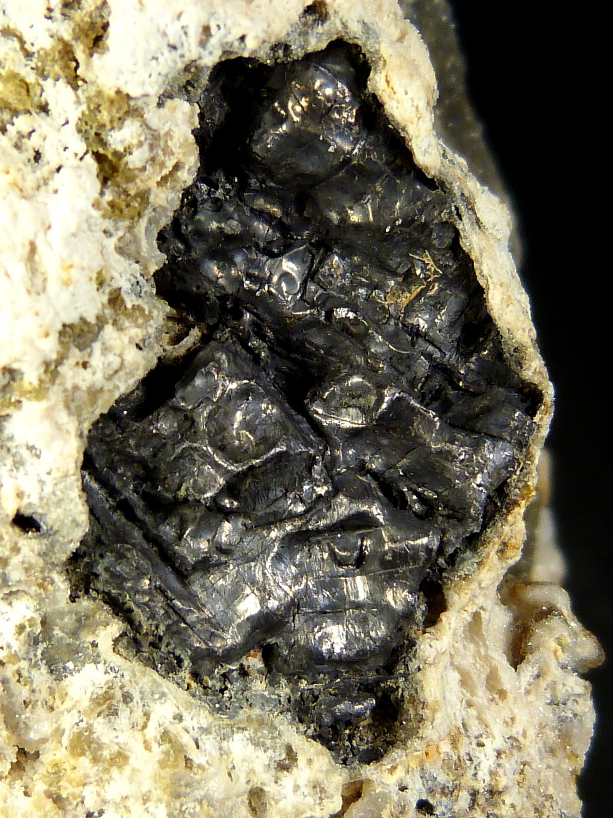 Cuarzo (variedad calcedonia) y Galena
9,5 x 4,5 x 4 cm.
(Autor: Felipe Abolafia)