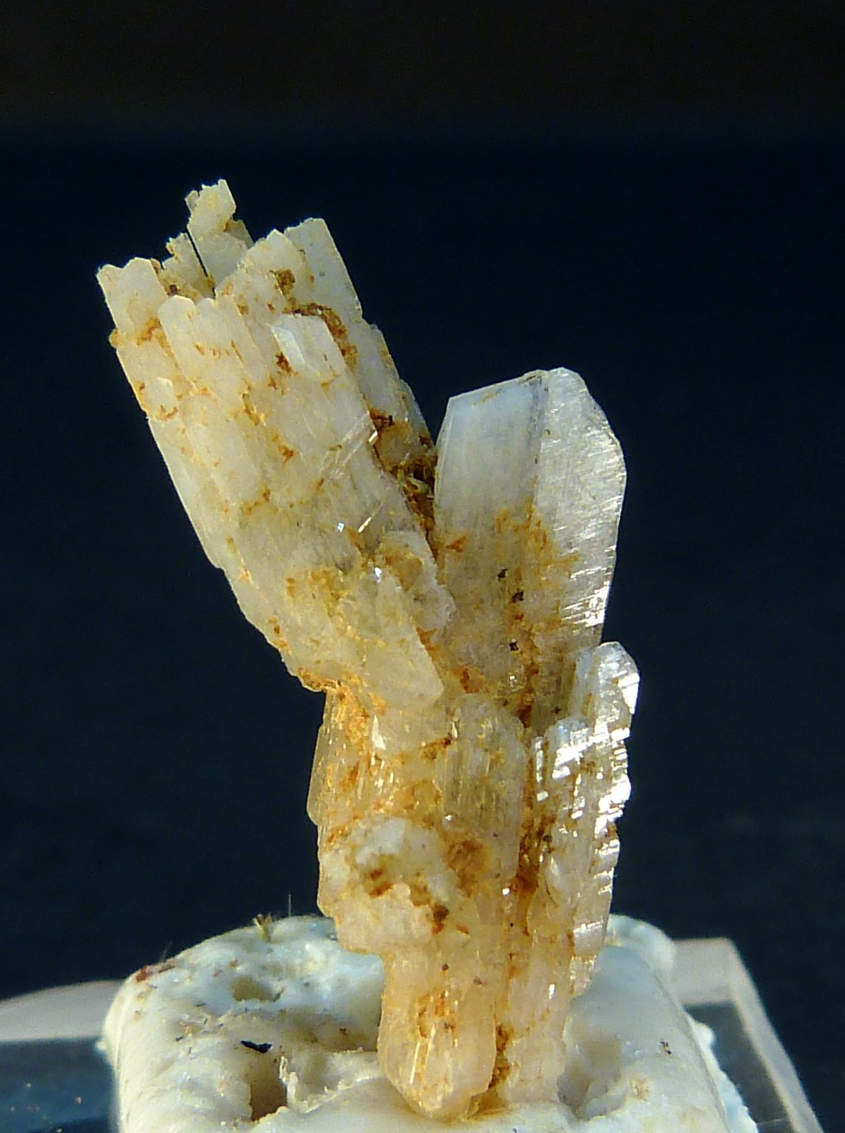 Albita
10 x 5 mm.
(Autor: Felipe Abolafia)