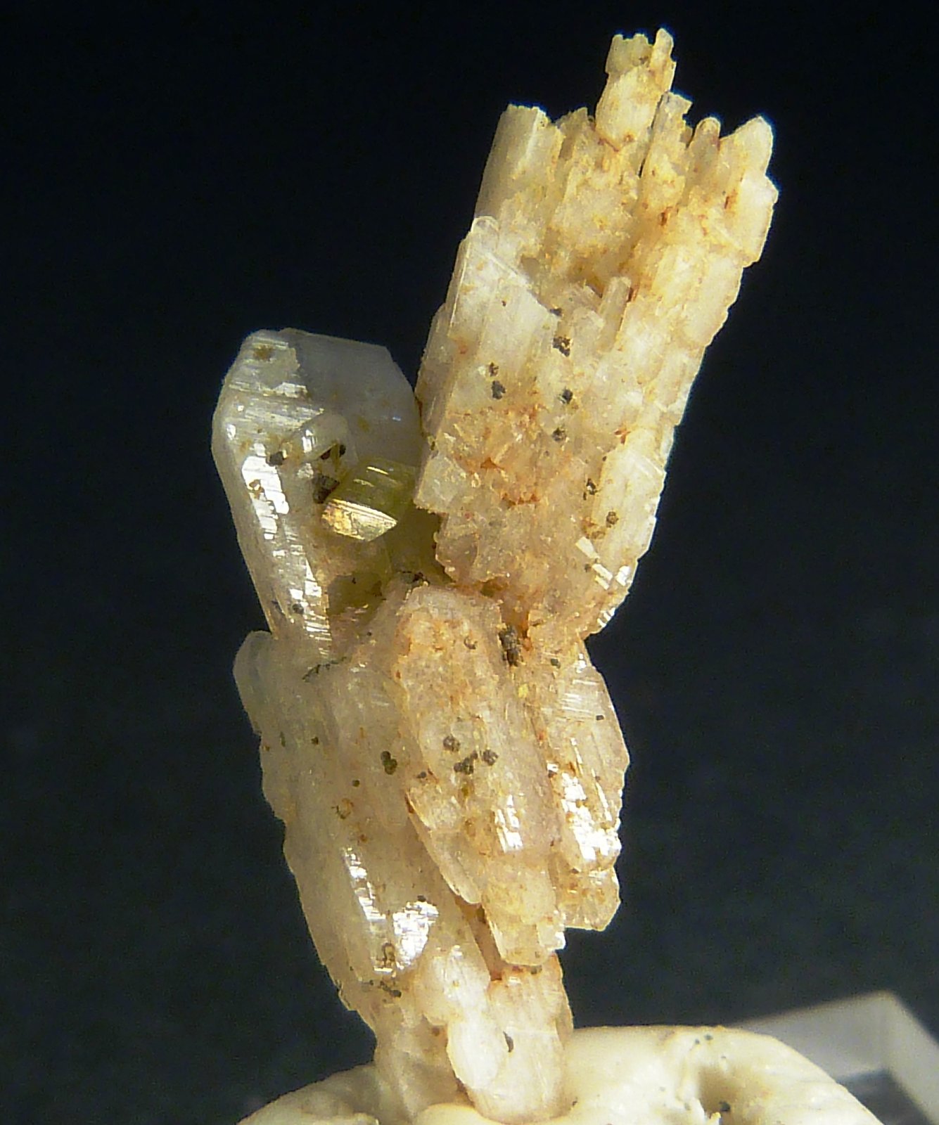 Albita
10 x 5 mm.
(Autor: Felipe Abolafia)
