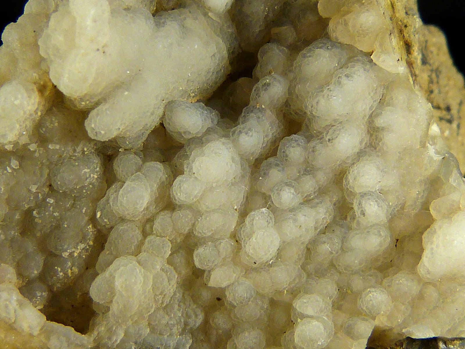 Cuarzo (variedad calcedonia)
4 x 3,5 x 2,5 cm.
(Autor: Felipe Abolafia)