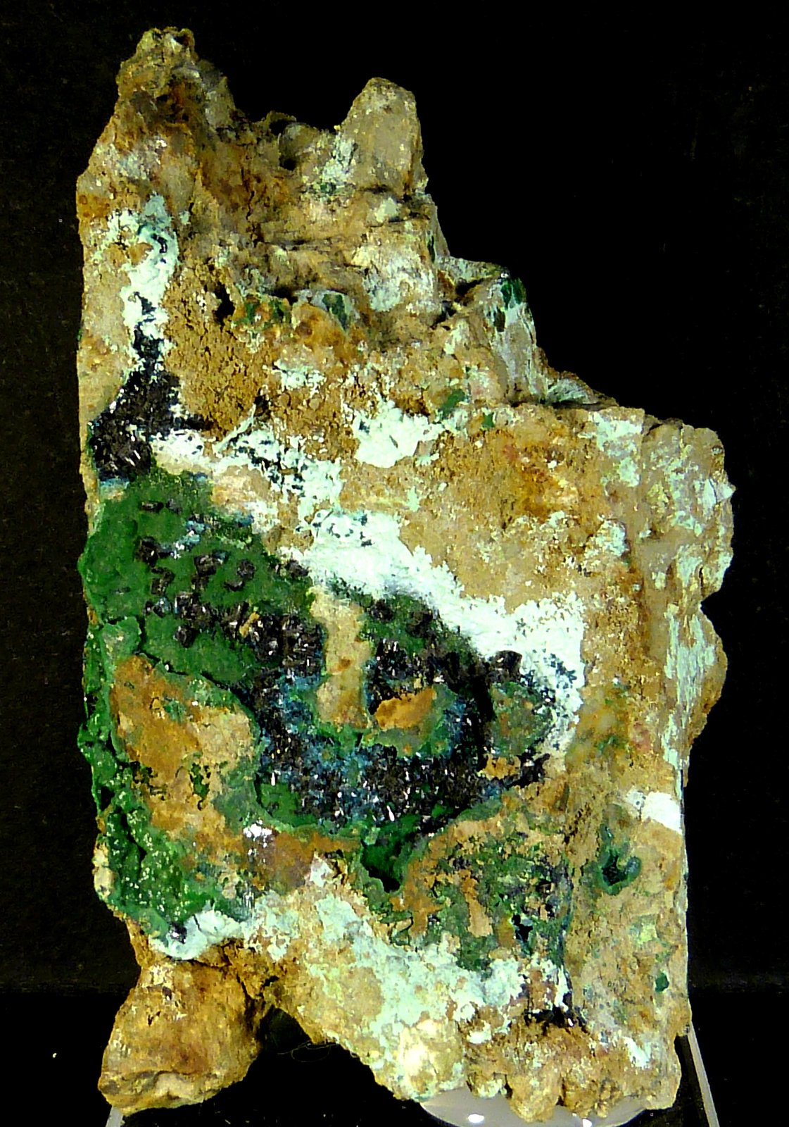 Clinoclasa
6 x 3,5 x 3 cm.
(Autor: Felipe Abolafia)