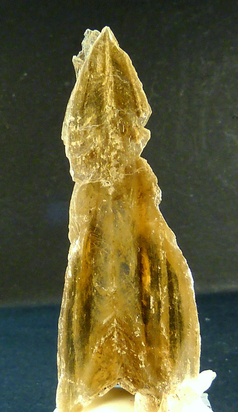 Yeso
5 x 2 x 0,7 cm.
(Autor: Felipe Abolafia)