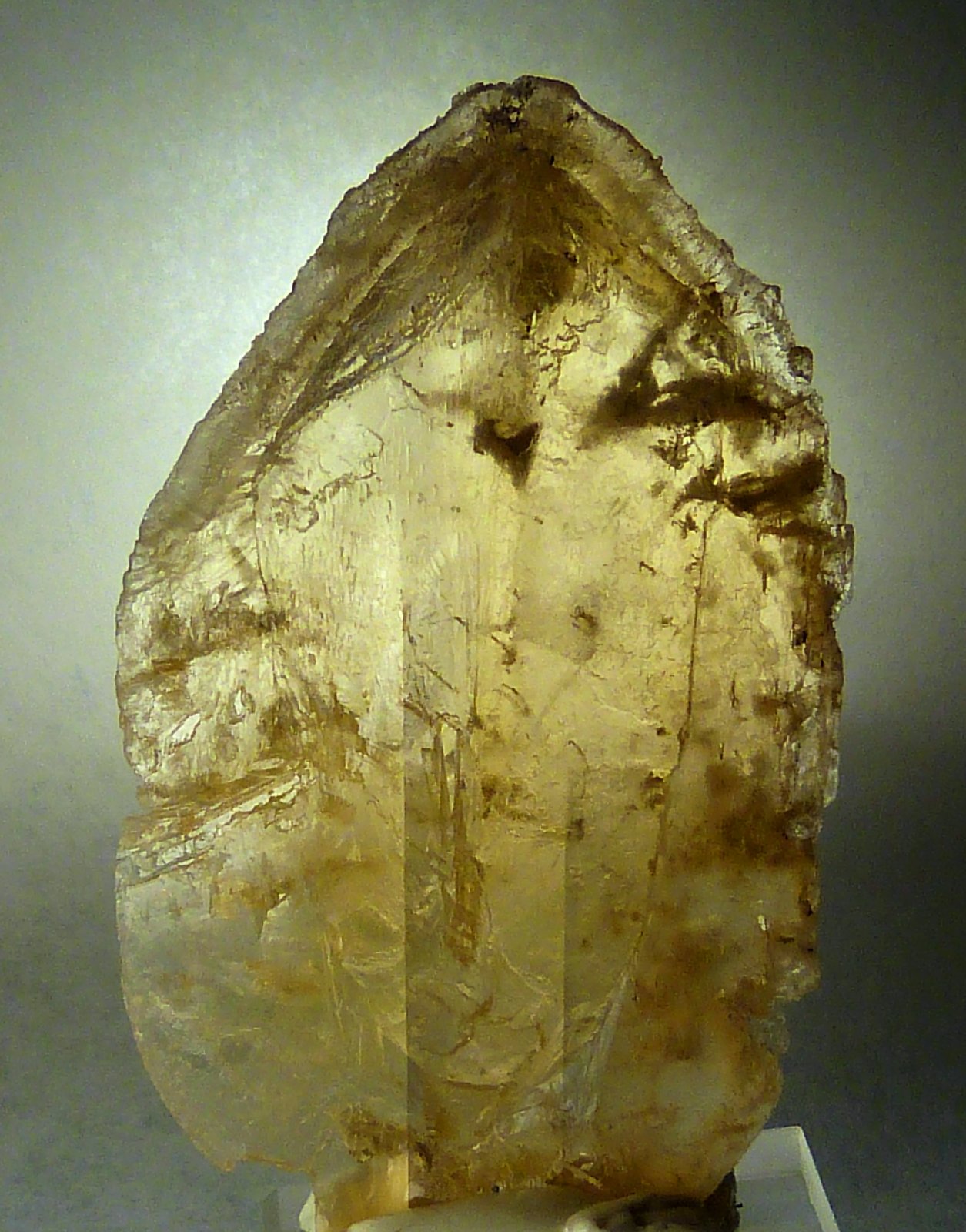 Yeso
3 x 5 x 1 cm.
(Autor: Felipe Abolafia)