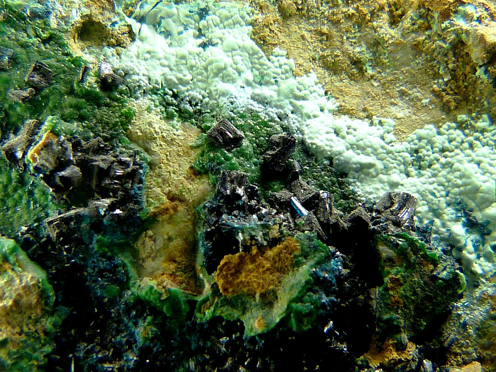 Clinoclasa
6 x 3,5 x 3 cm.
(Autor: Felipe Abolafia)