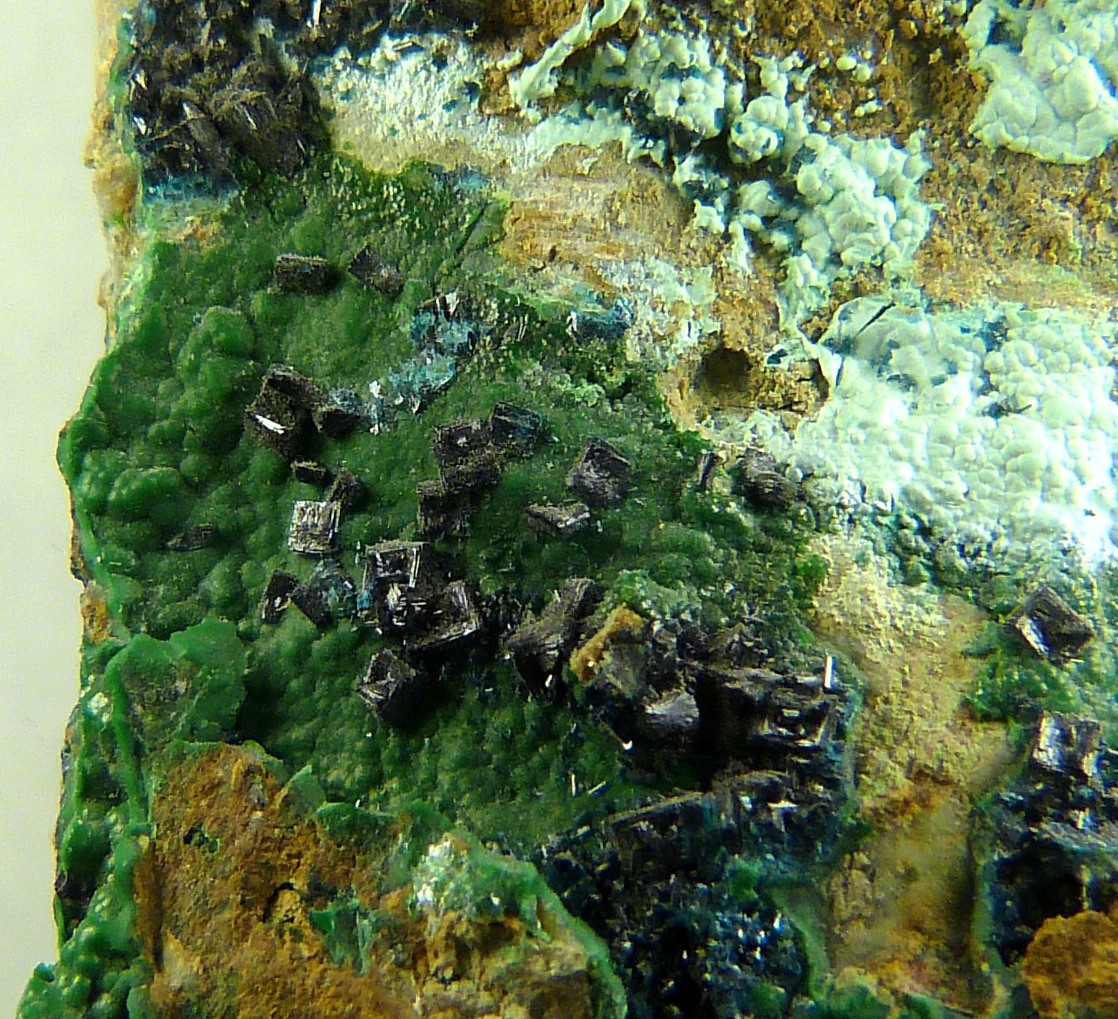 Clinoclasa
6 x 3,5 x 3 cm.
(Autor: Felipe Abolafia)