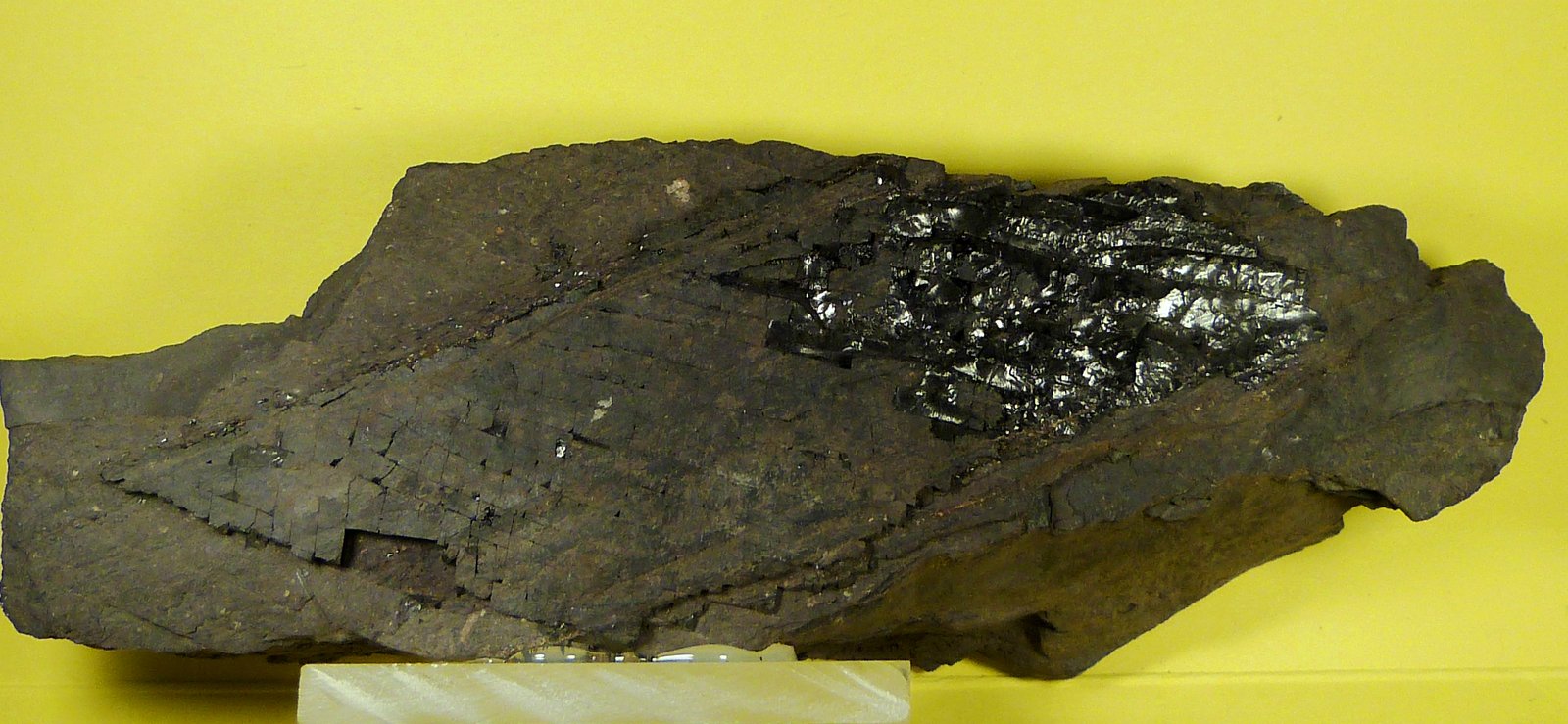 Pizarra bituminosa
14,5 x 5 x 3,5 cm.
(Autor: Felipe Abolafia)