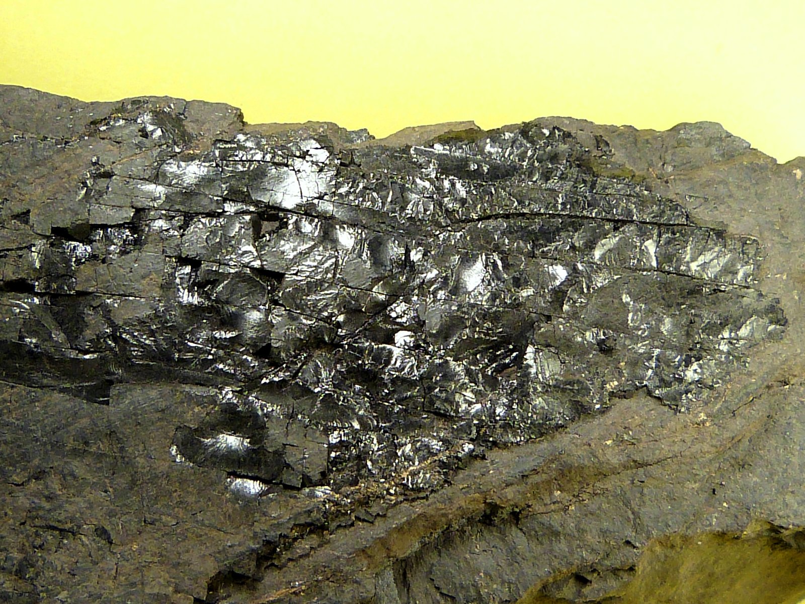 Pizarra bituminosa
14,5 x 5 x 3,5 cm.
(Autor: Felipe Abolafia)